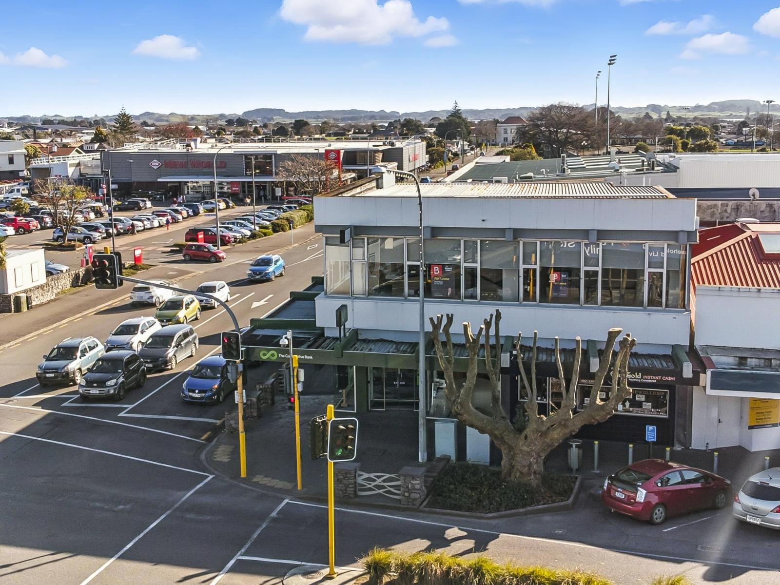 167-169 Oxford Street, Levin
