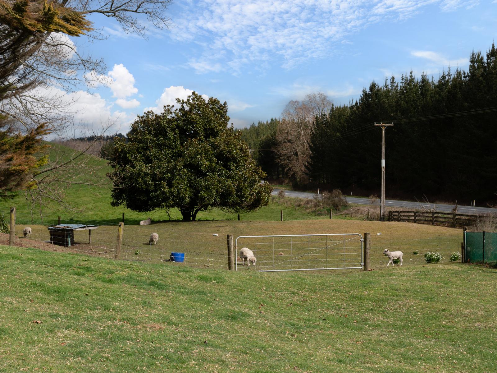 2411 State Highway 30, Atiamuri