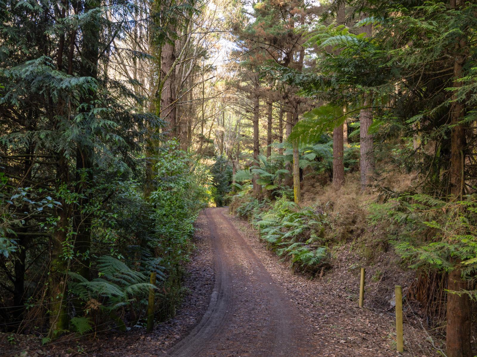 No 1 Line, Pohangina