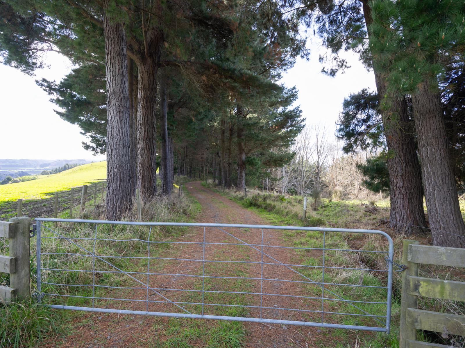 No 1 Line, Pohangina