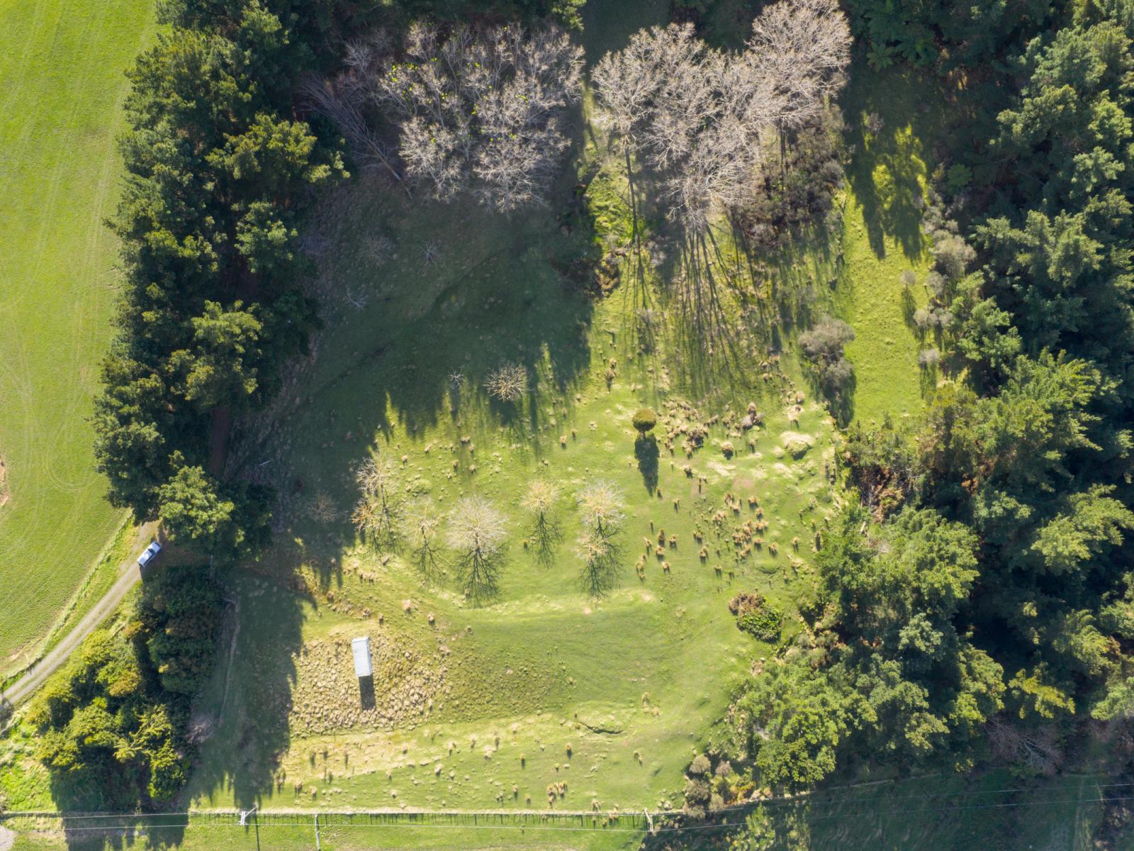 No 1 Line, Pohangina