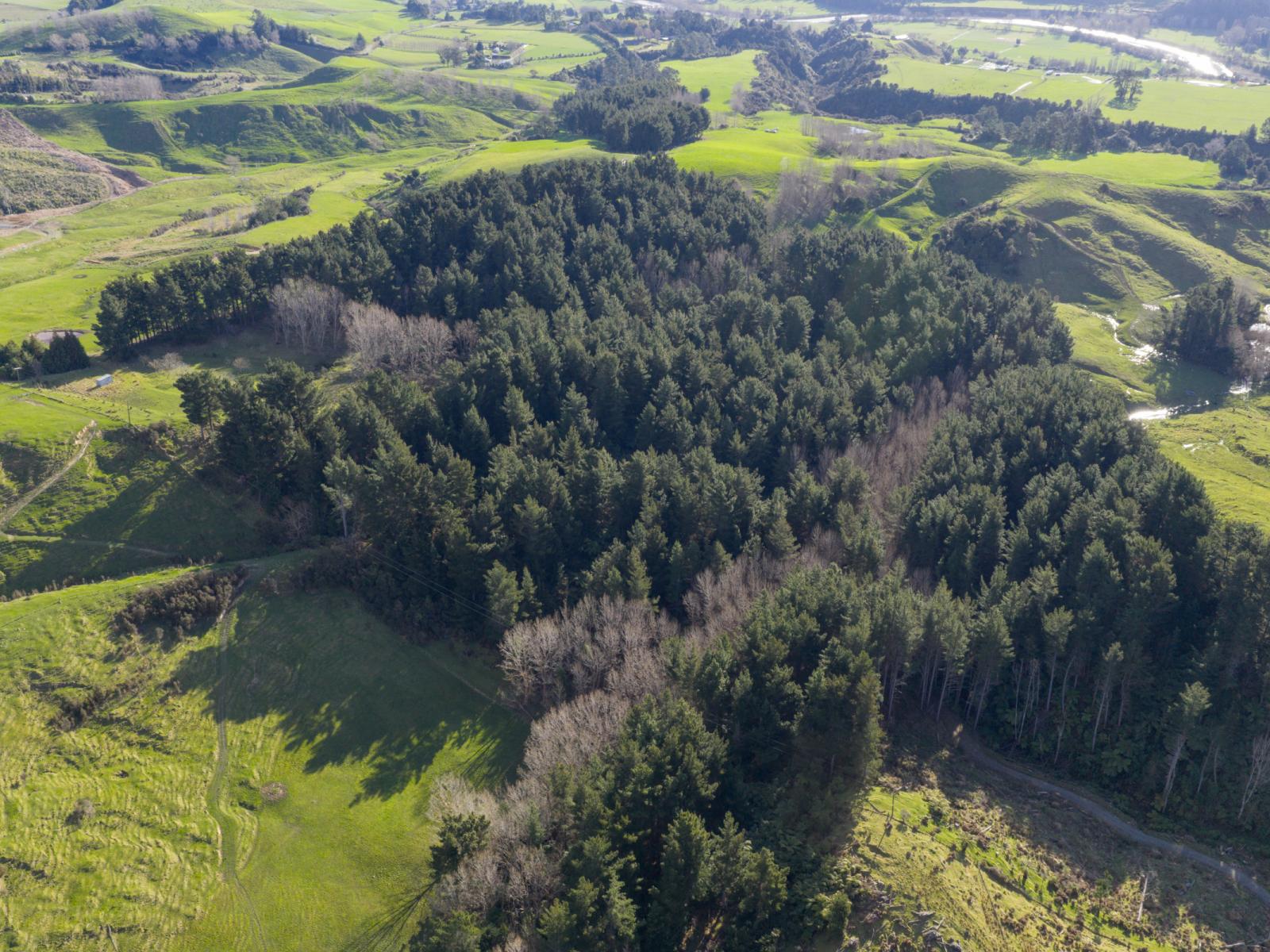 No 1 Line, Pohangina