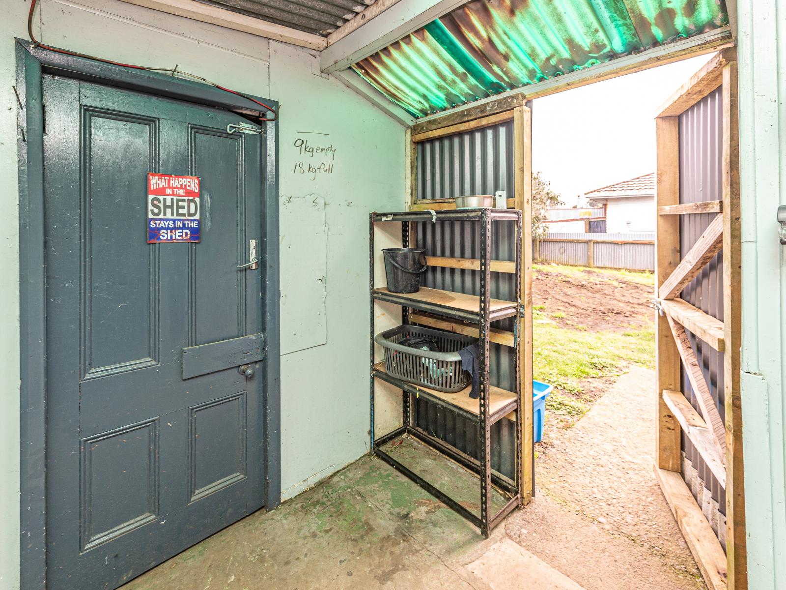 17 Gloag Street, Waverley