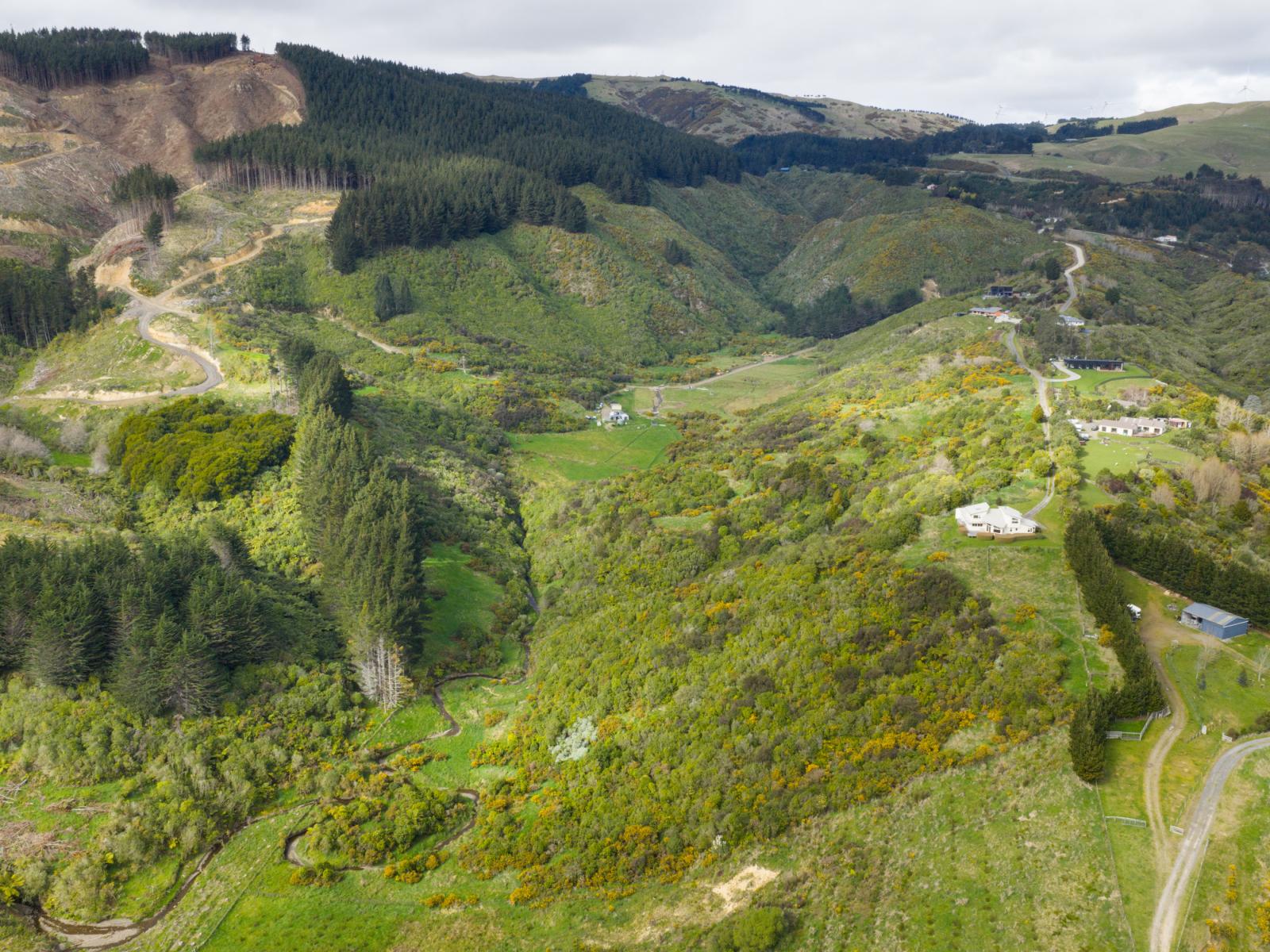 186 Harrison Hill Road, Aokautere