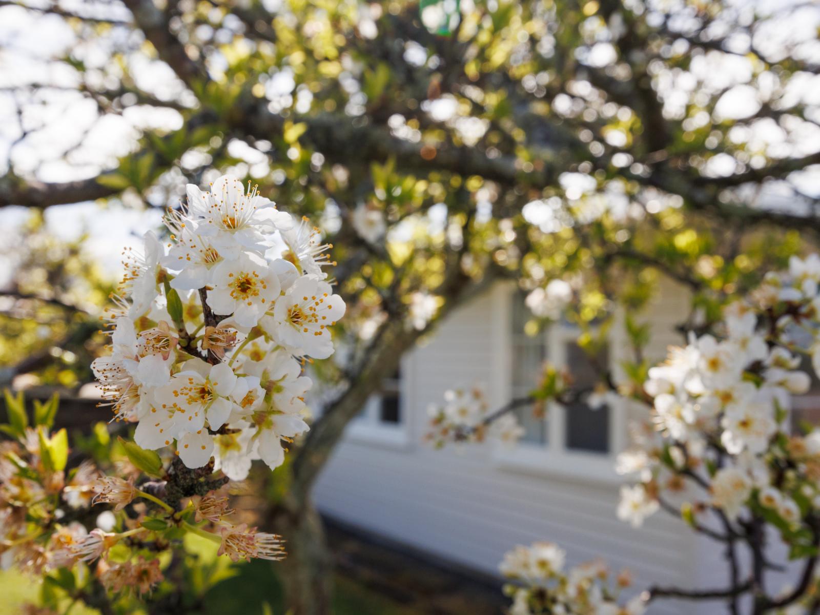 2 Harford Street, Feilding