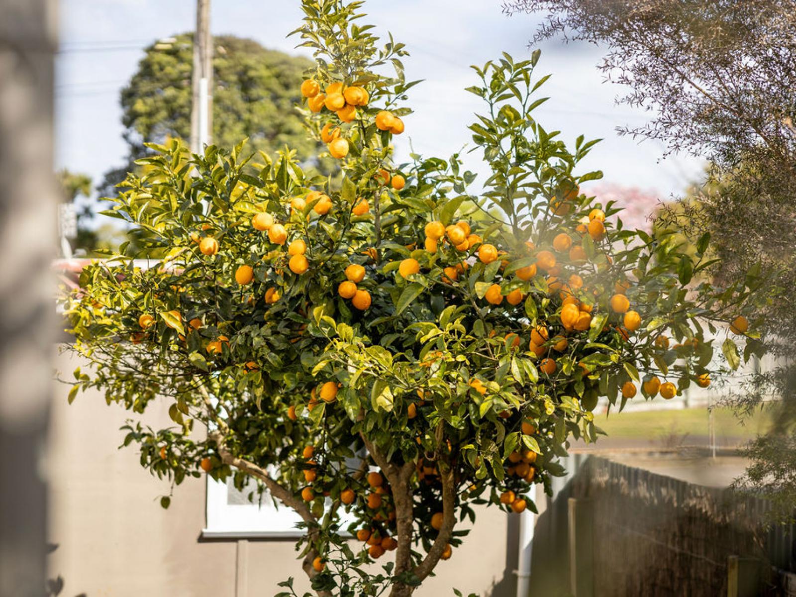 22 Boyd Avenue, Aramoho