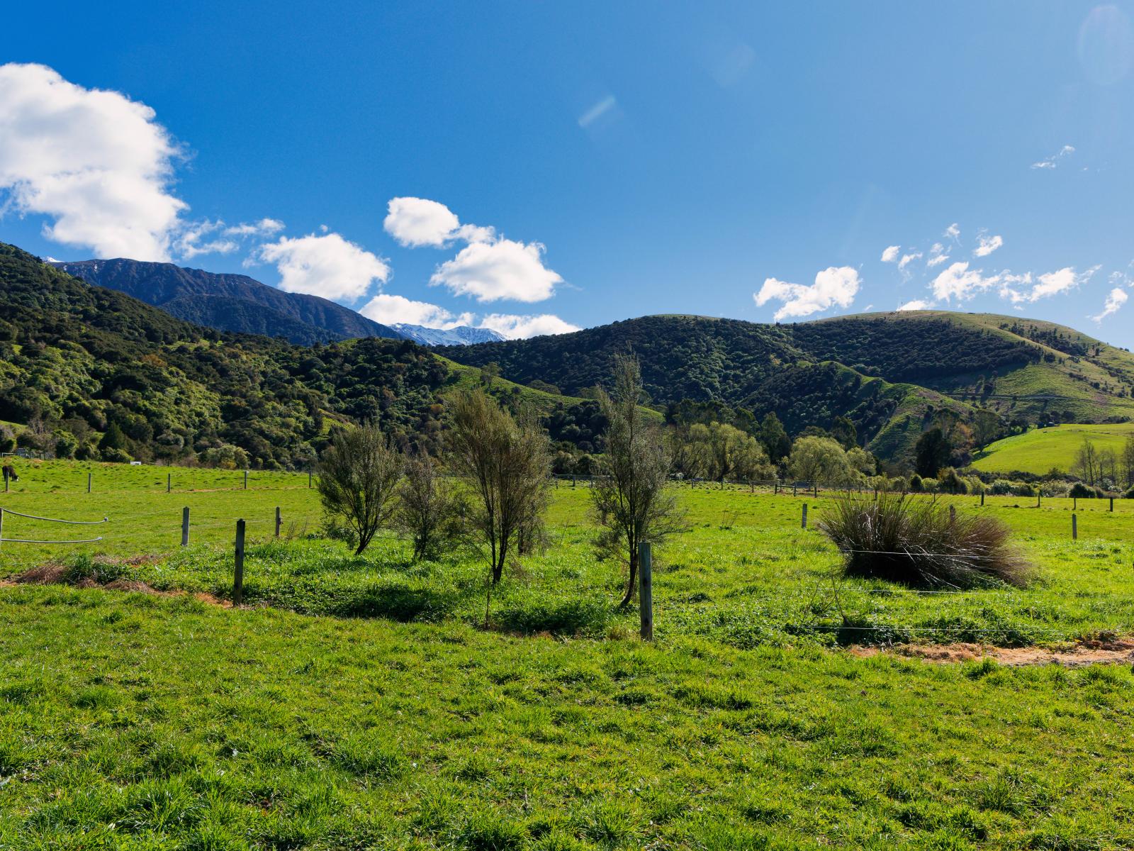 53 Grange Road, Kaikoura