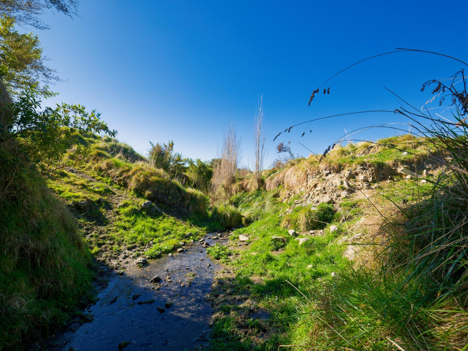 53 Grange Road, Kaikoura