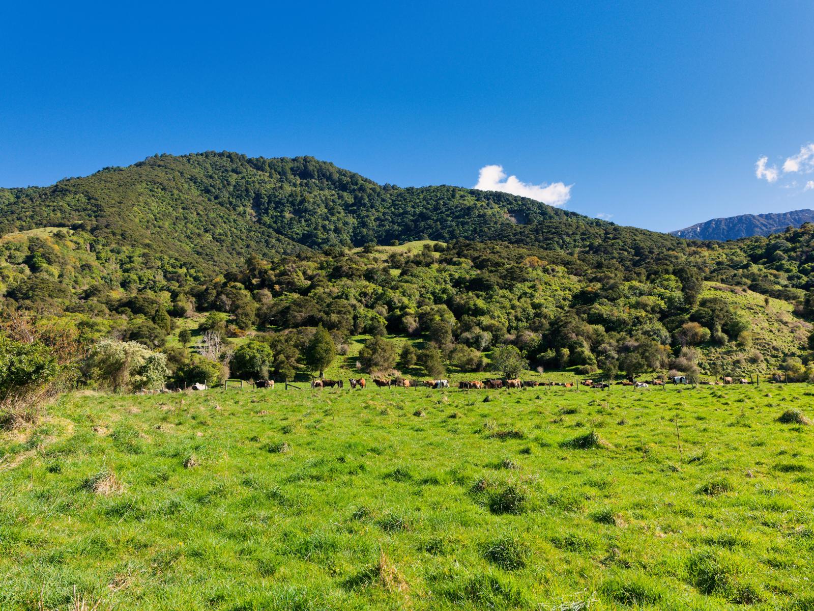 53 Grange Road, Kaikoura