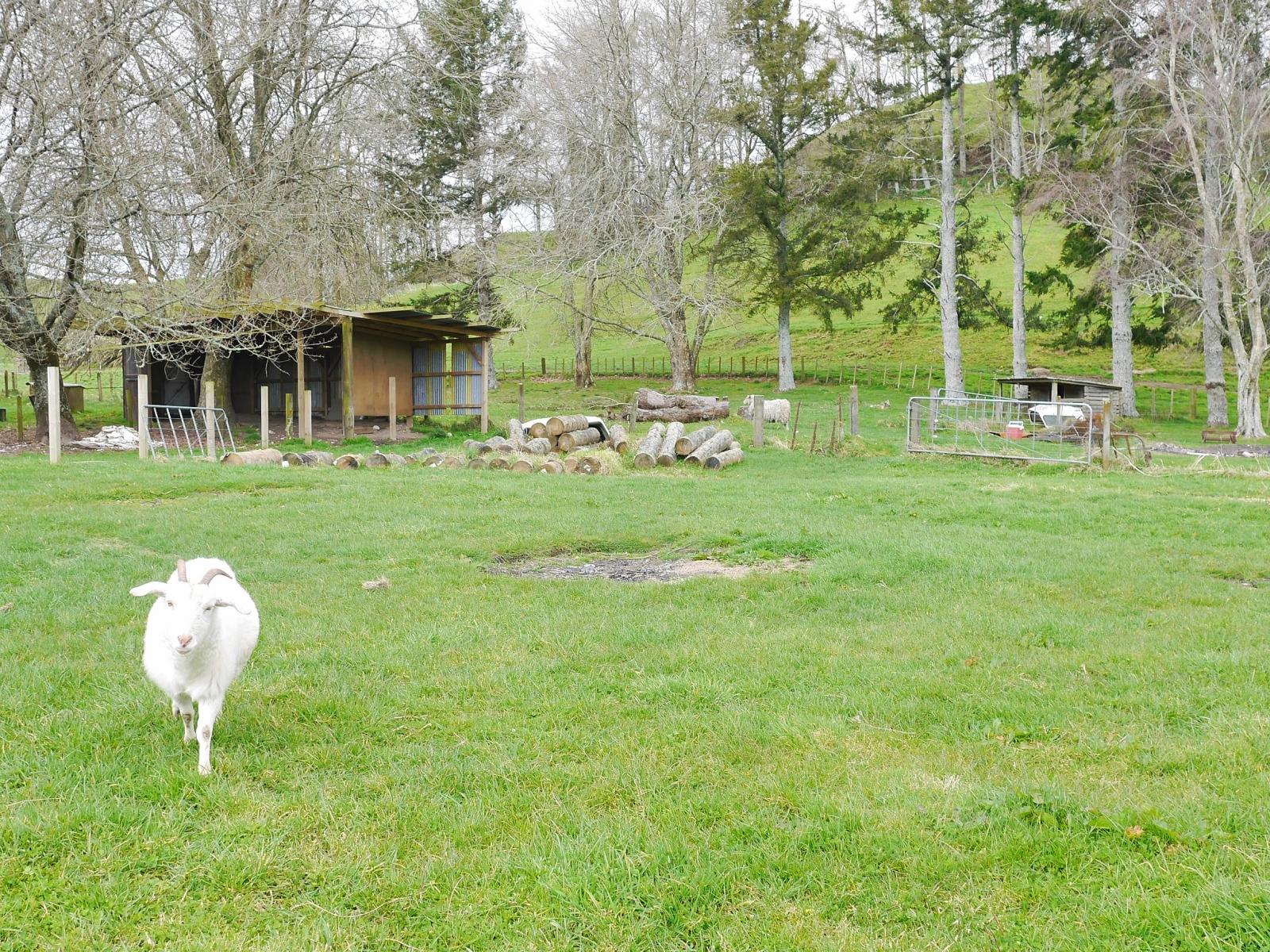 223 Yankee Road, Rerewhakaaitu
