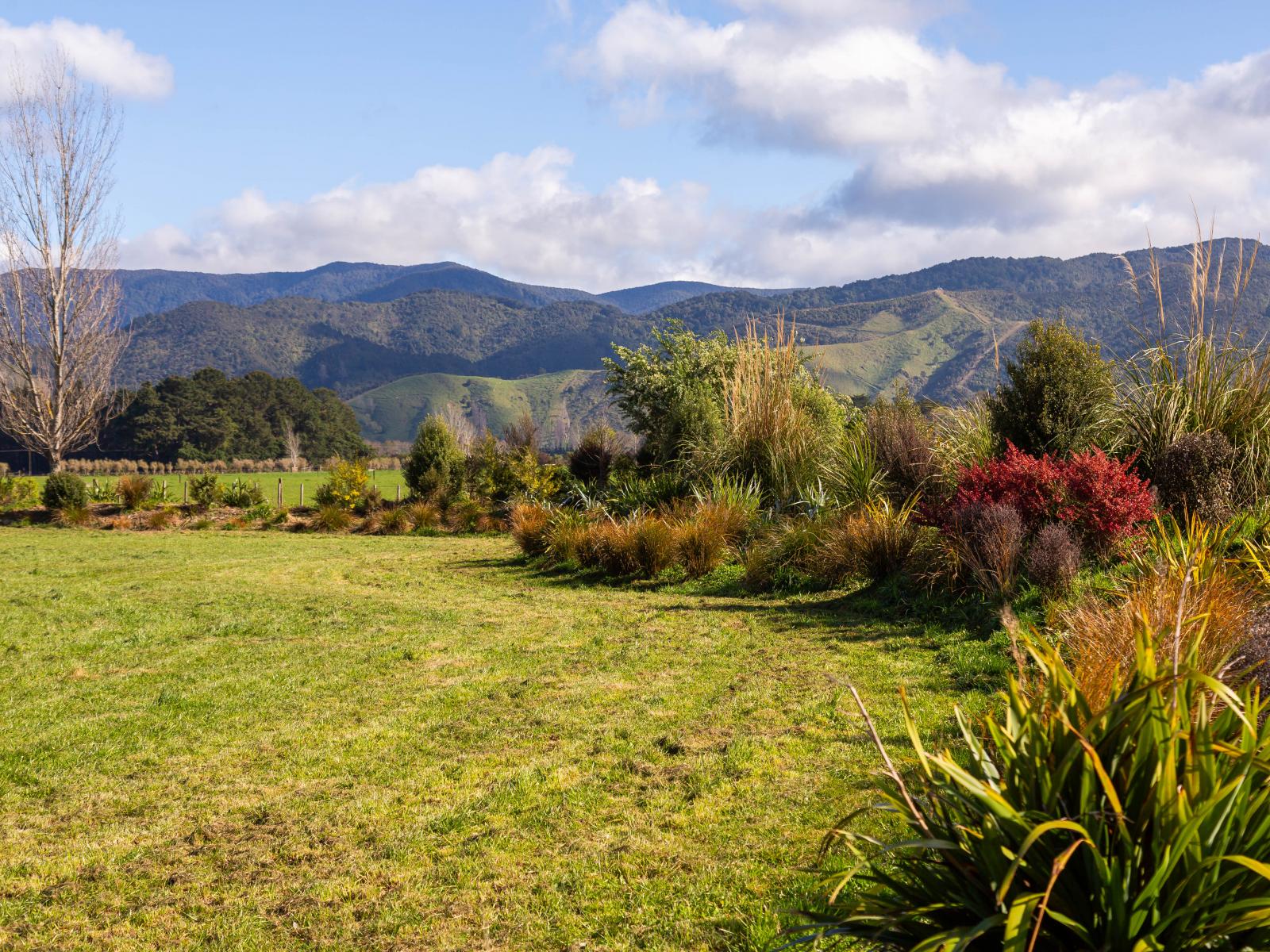3, 277 Woodside Road, Greytown