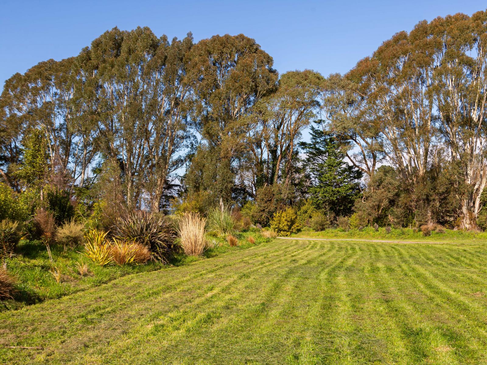 3, 277 Woodside Road, Greytown
