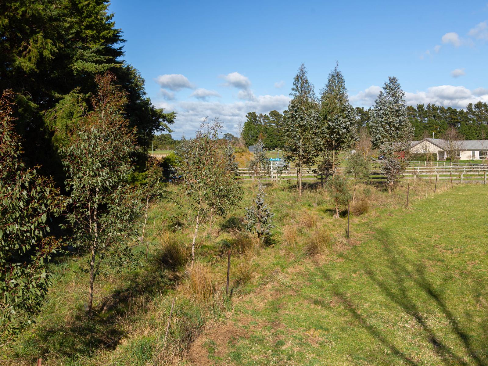 Governors Green Drive, Greytown