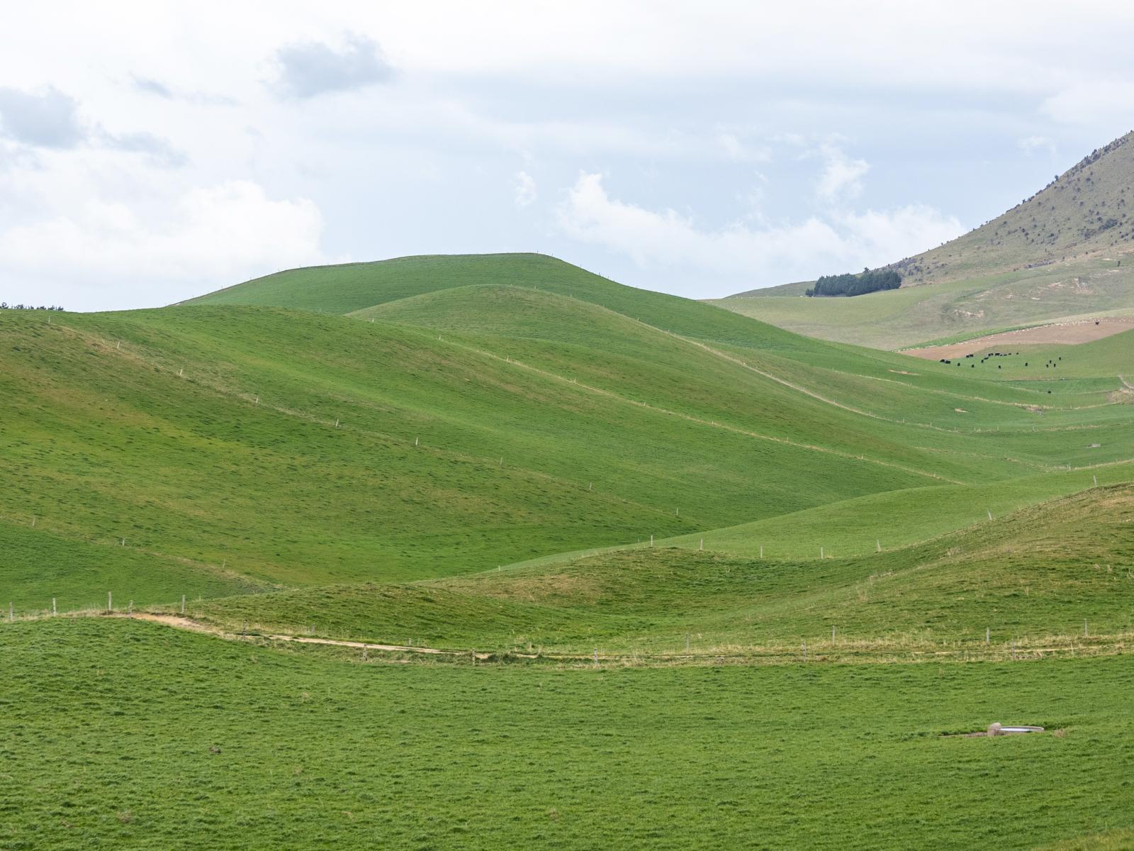 156 Elephant Hill Back Road, Waimate