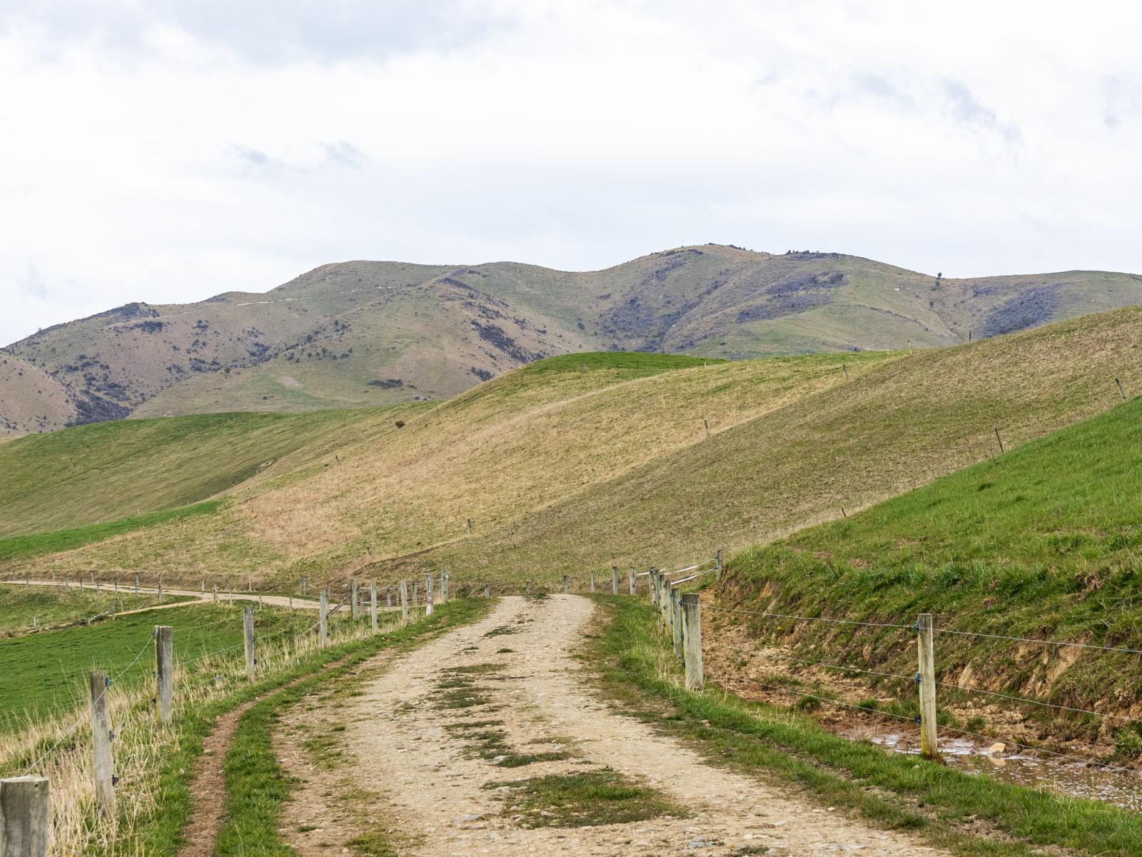 156 Elephant Hill Back Road, Waimate