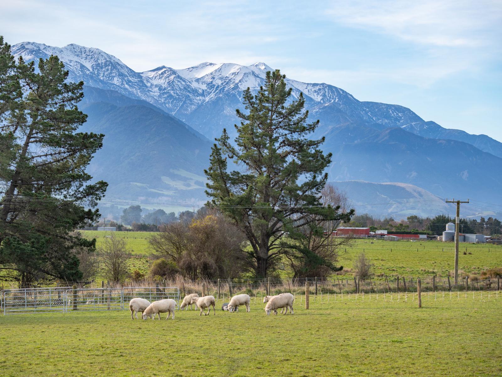 87 Green Lane, Kaikoura