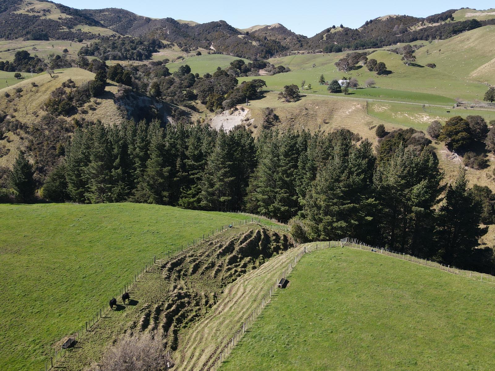 3345A Weber Road, Dannevirke