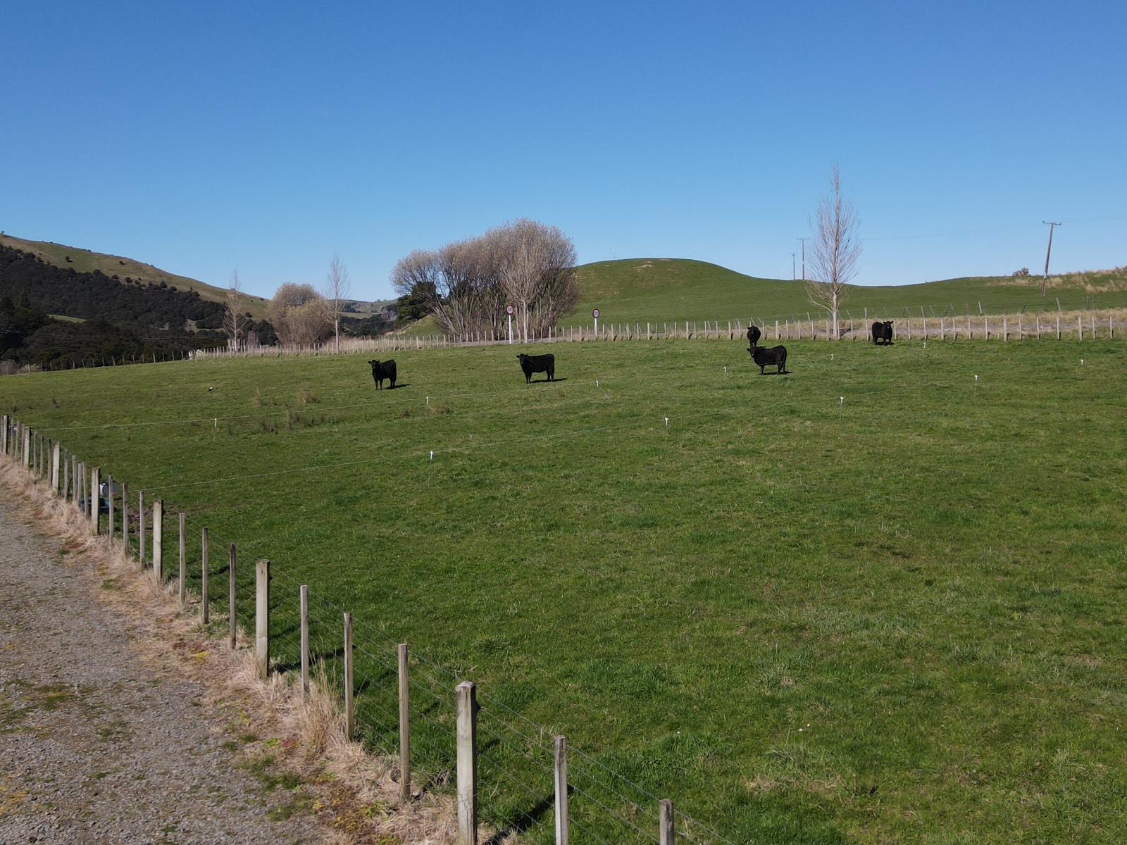 3345A Weber Road, Dannevirke