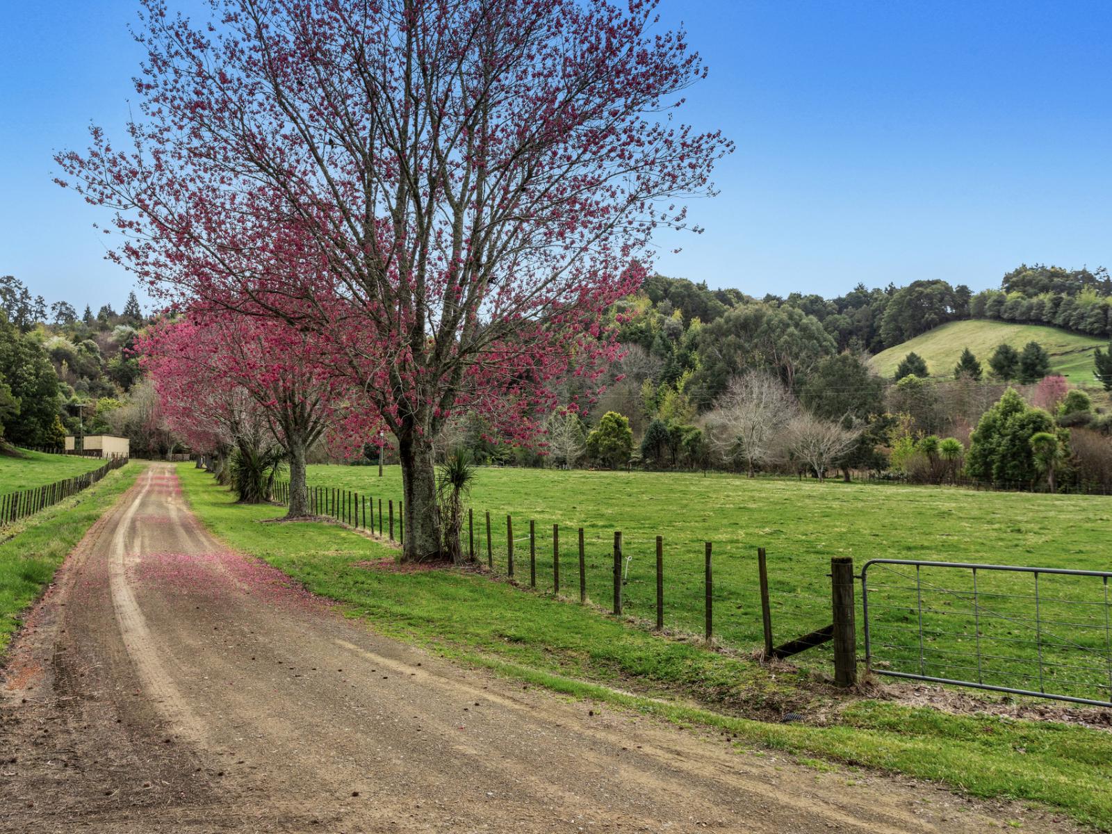 330B Pikowai Road, Pikowai