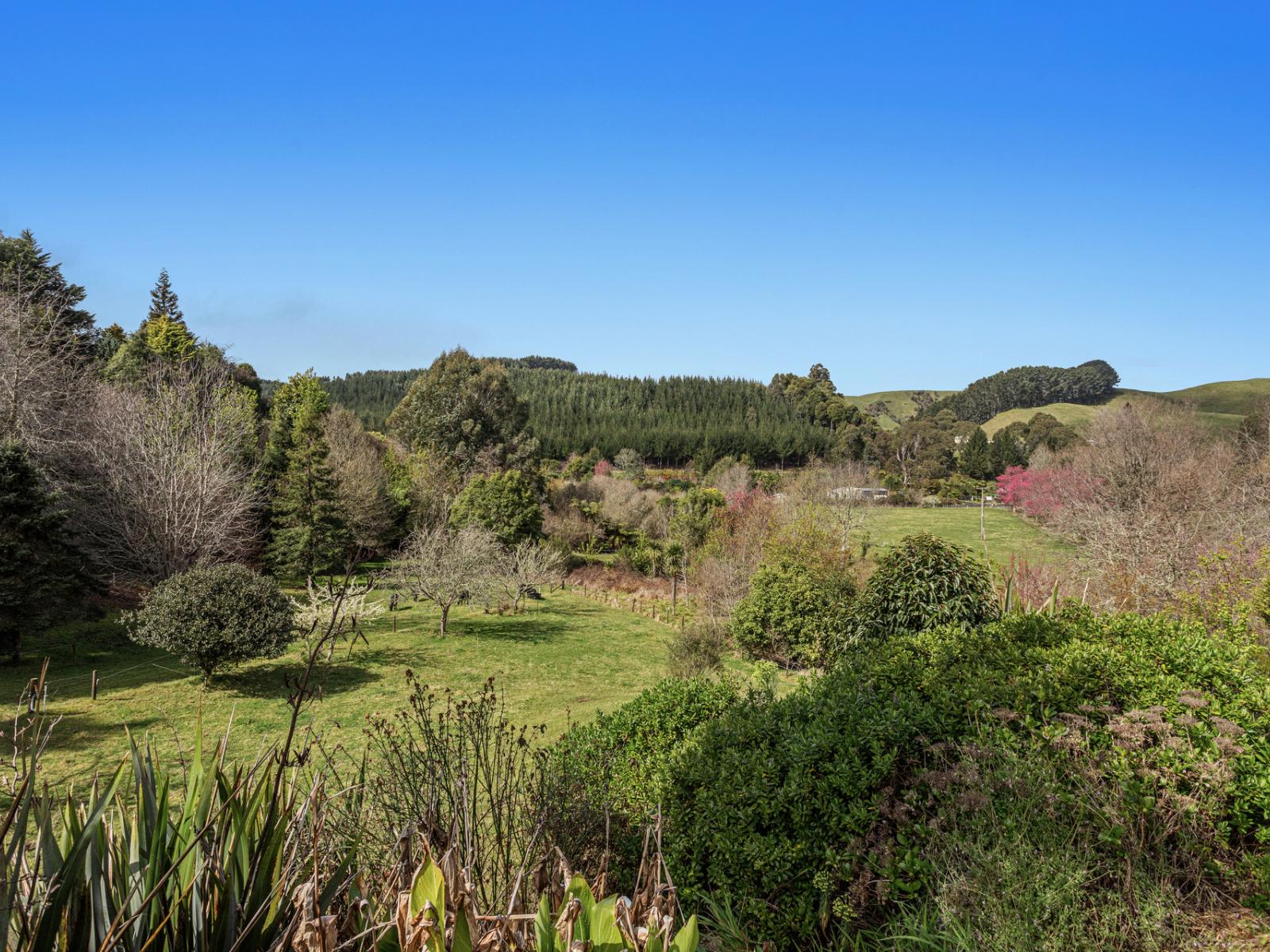 330B Pikowai Road, Pikowai