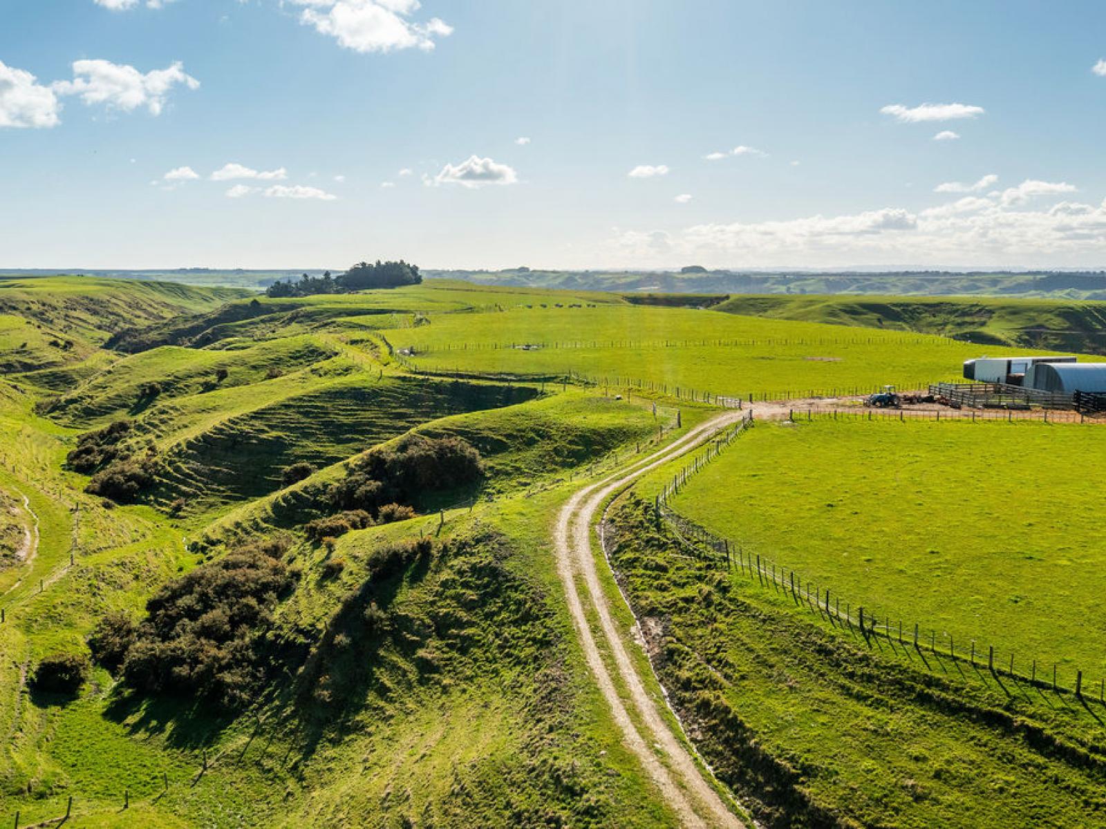 85 Reynolds Road, Marton