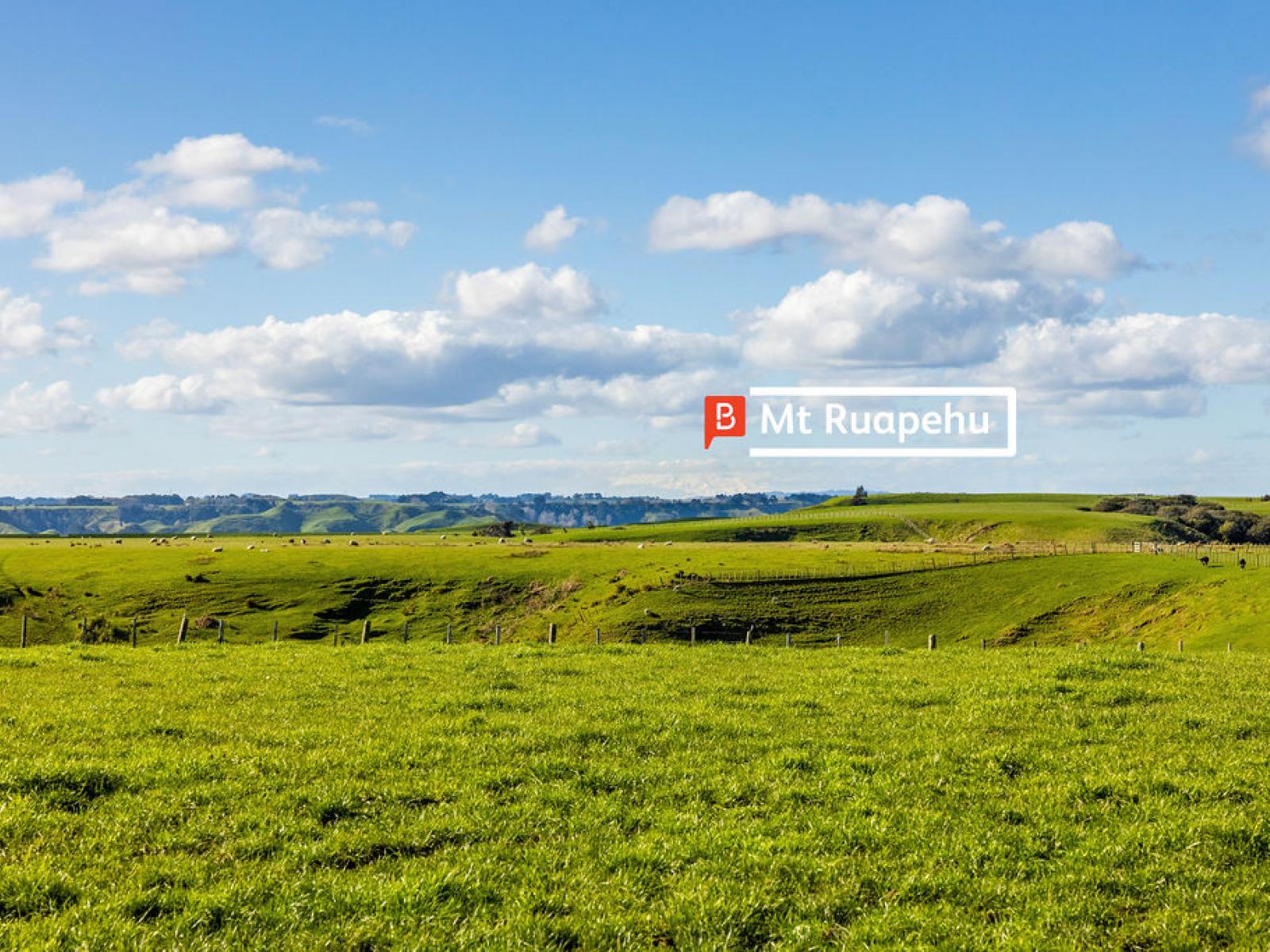 85 Reynolds Road, Marton
