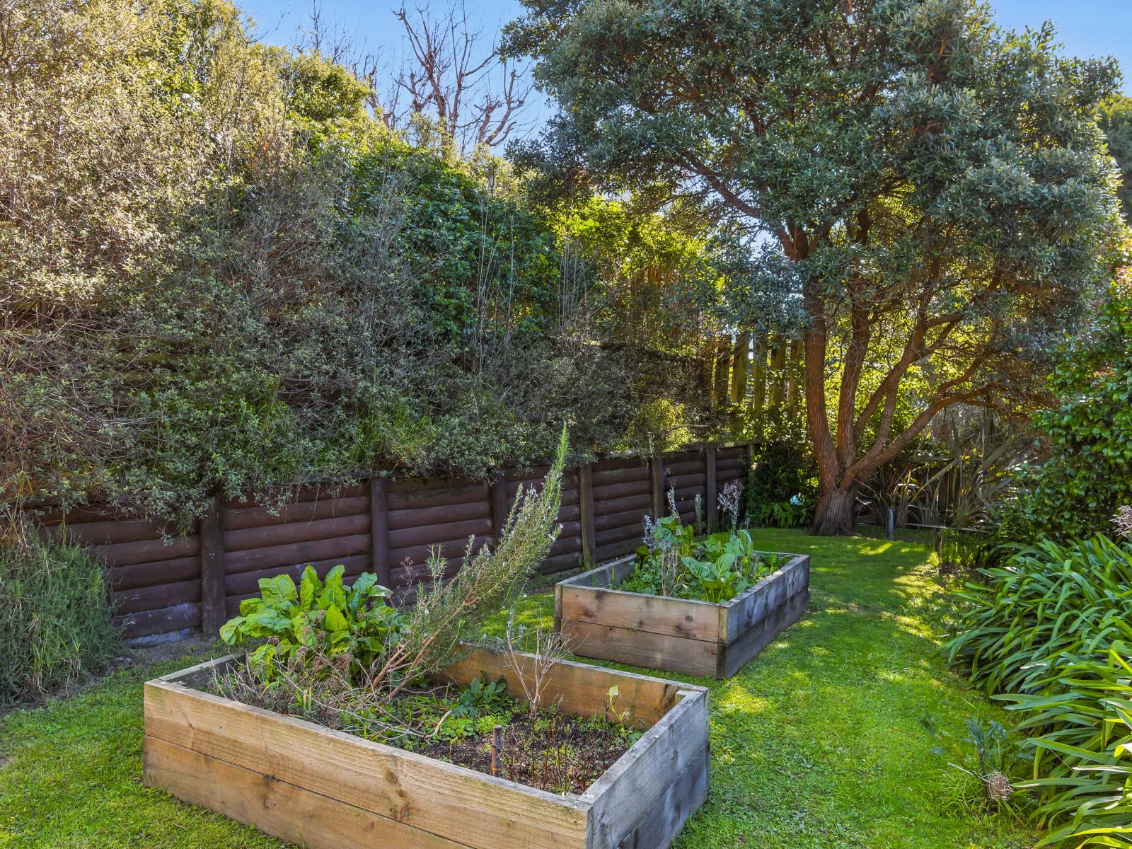 42 Hicks Crescent, Waikanae Beach