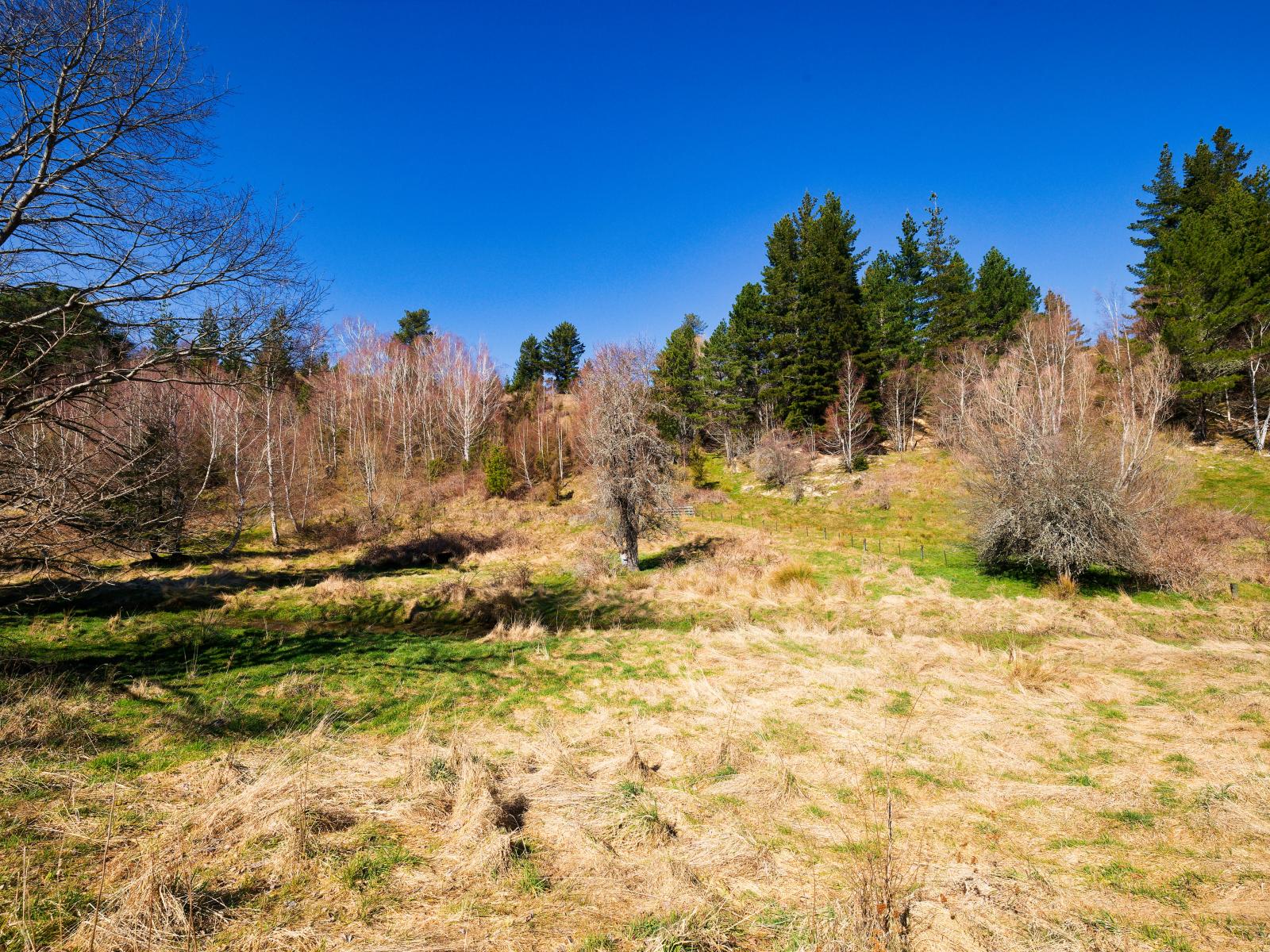 2000 Inland Road, Lyford