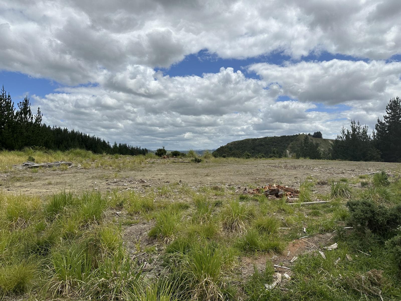 Ormond Valley Road, Ormond