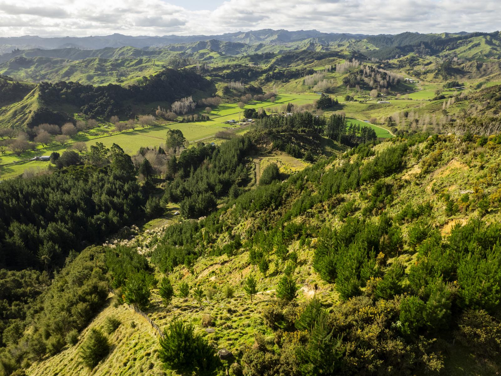 Ormond Valley Road, Ormond