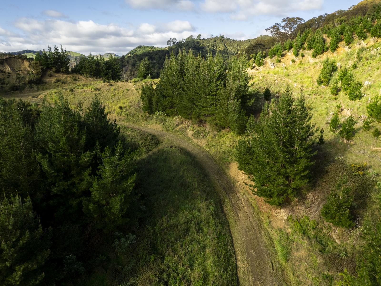 Ormond Valley Road, Ormond