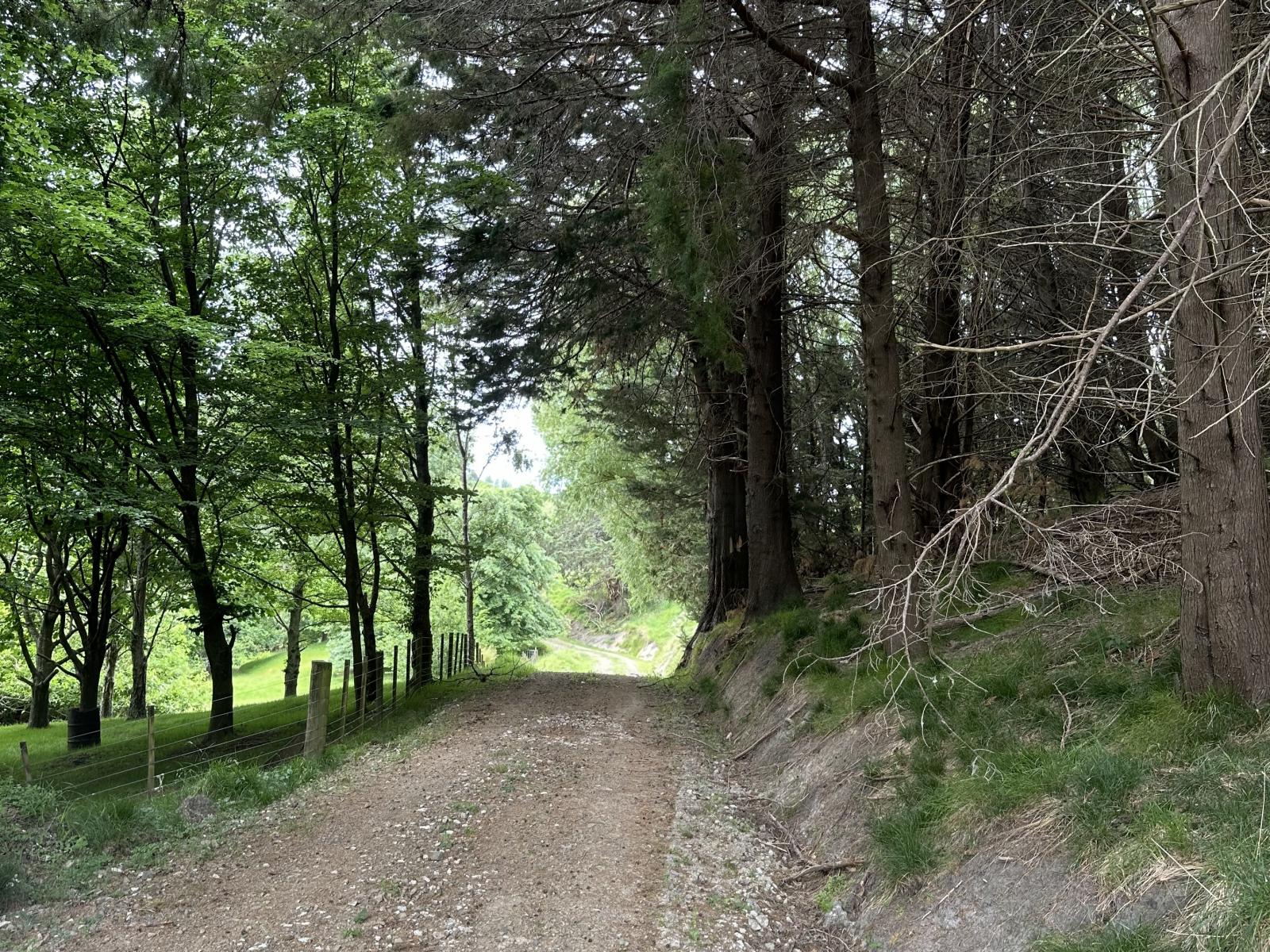 Ormond Valley Road, Ormond