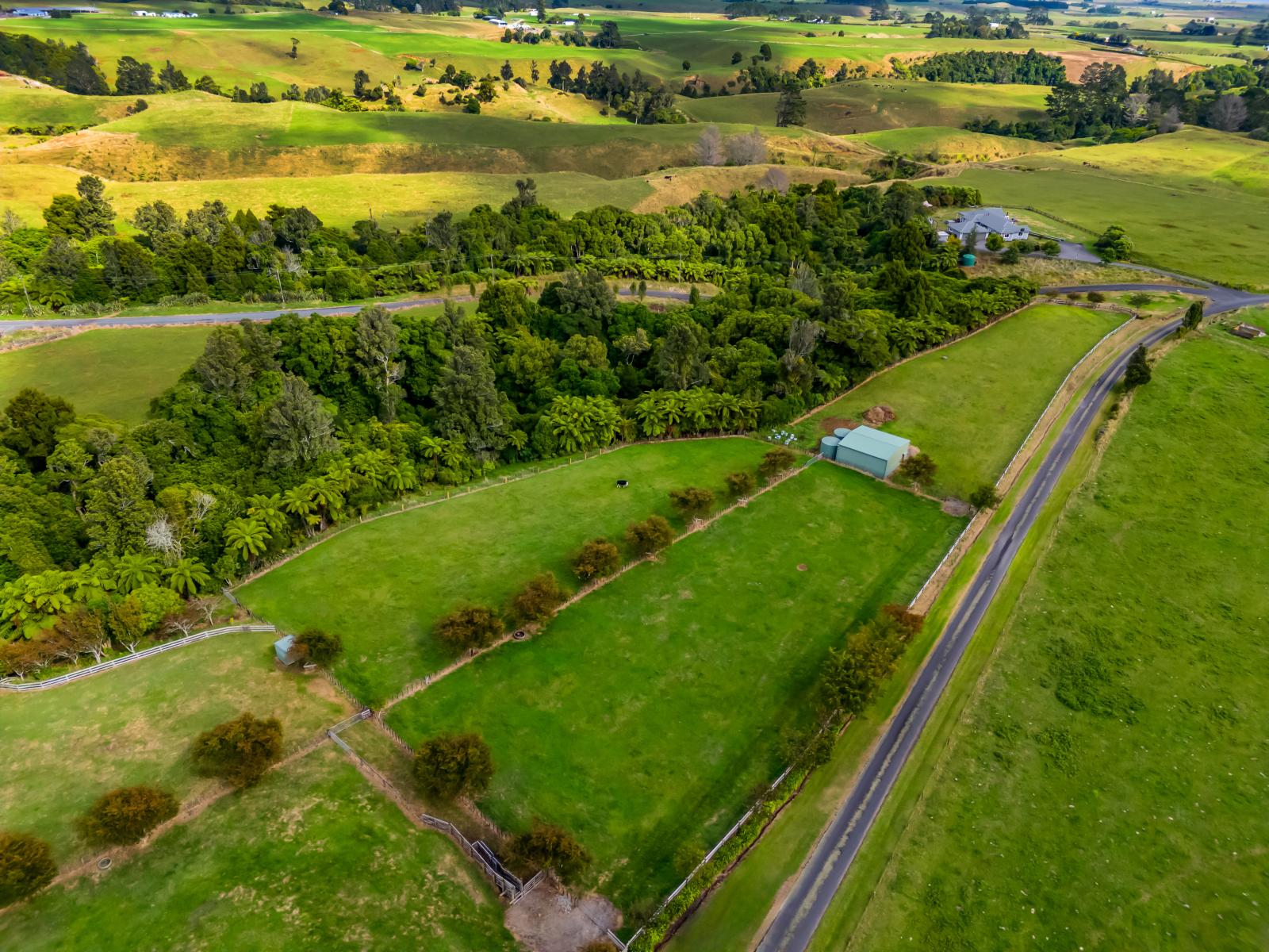 Weld Road Upper, Oakura