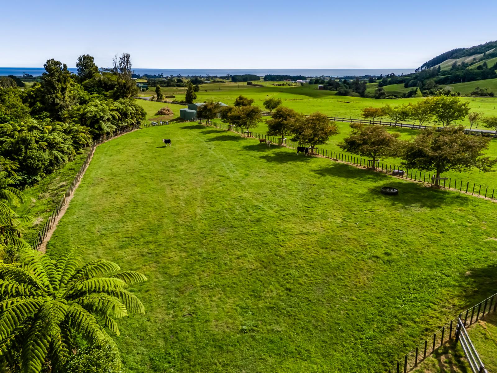 Weld Road Upper, Oakura