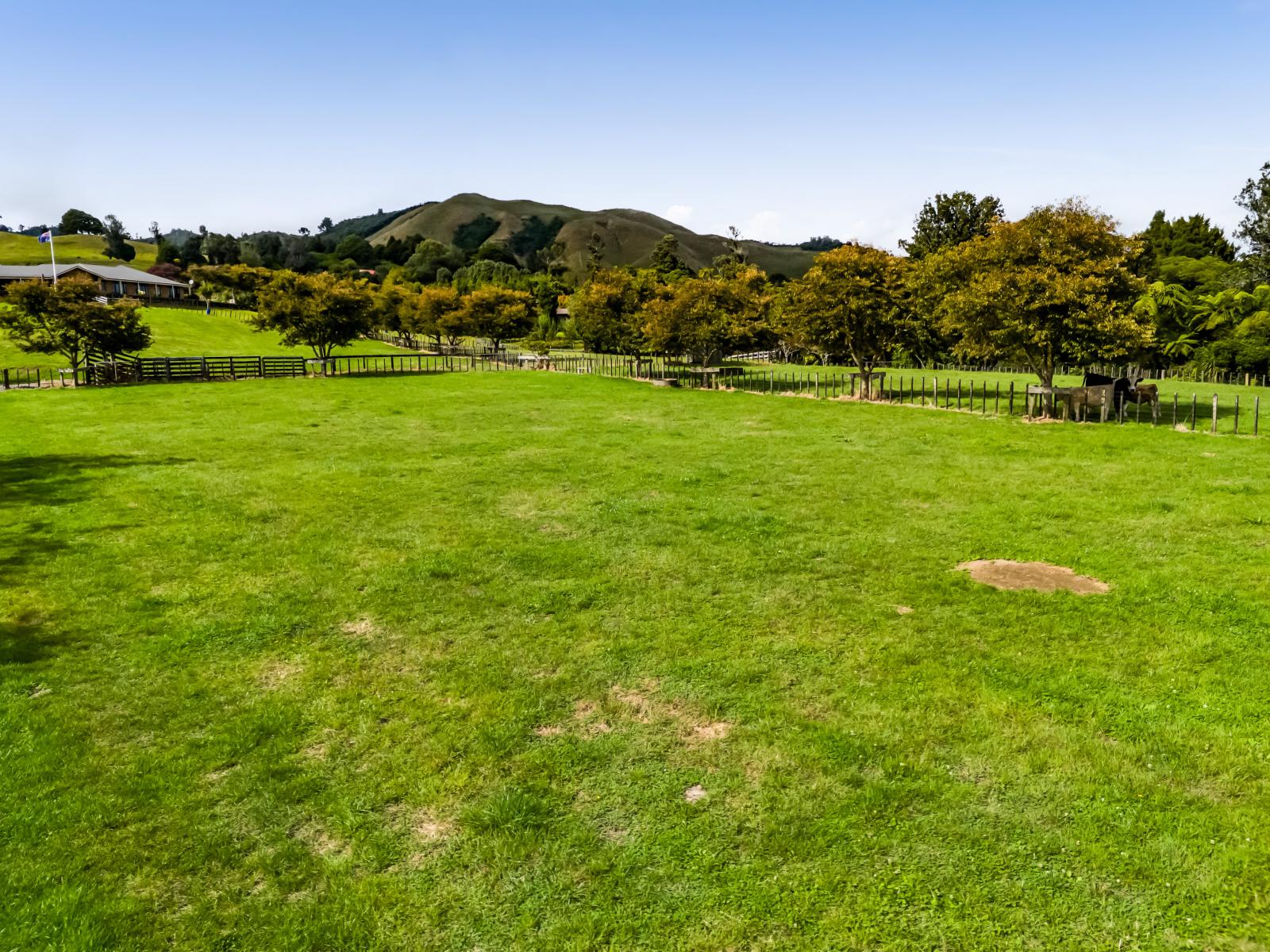 Weld Road Upper, Oakura
