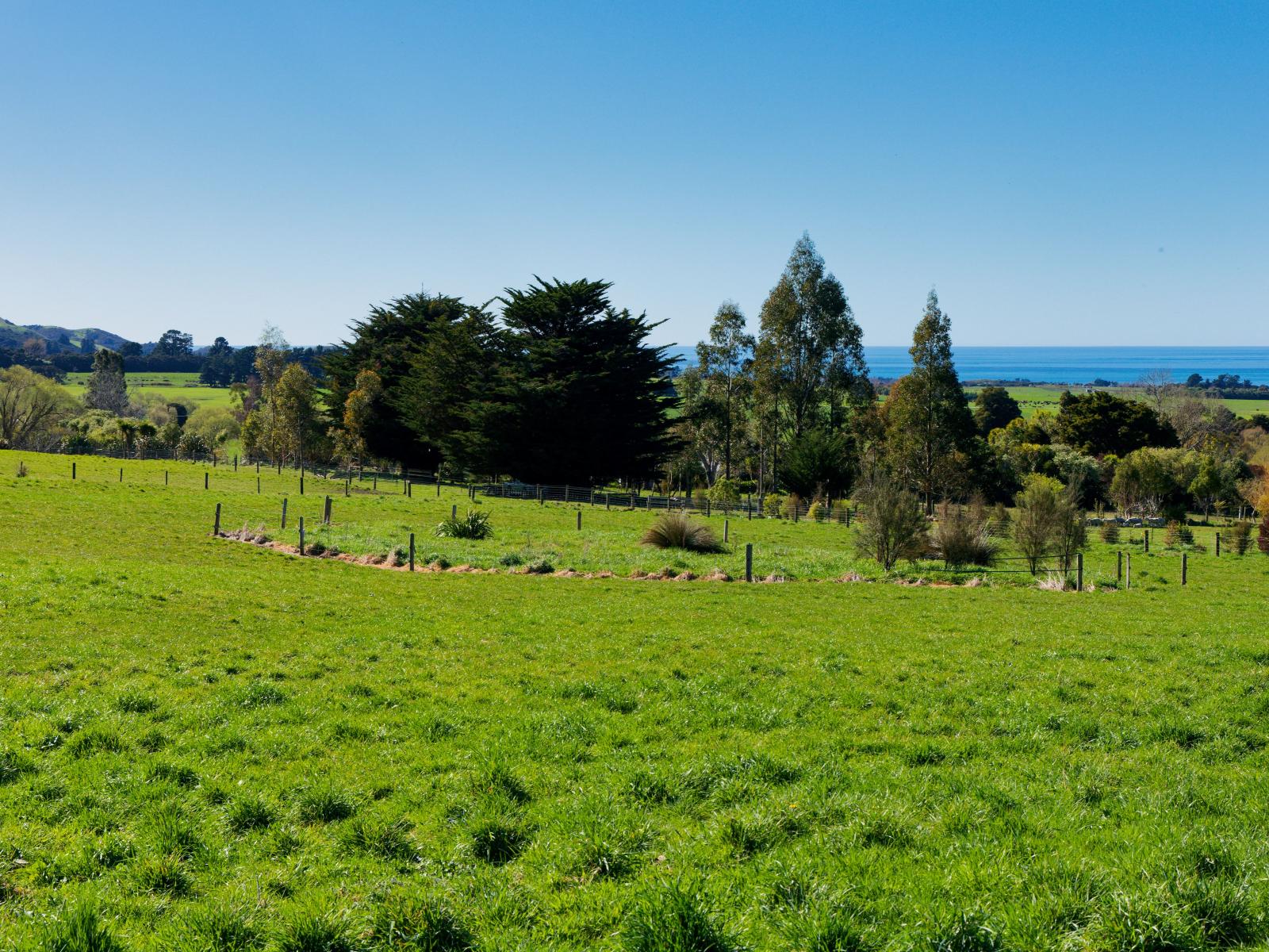 53 Grange Road, Kaikoura