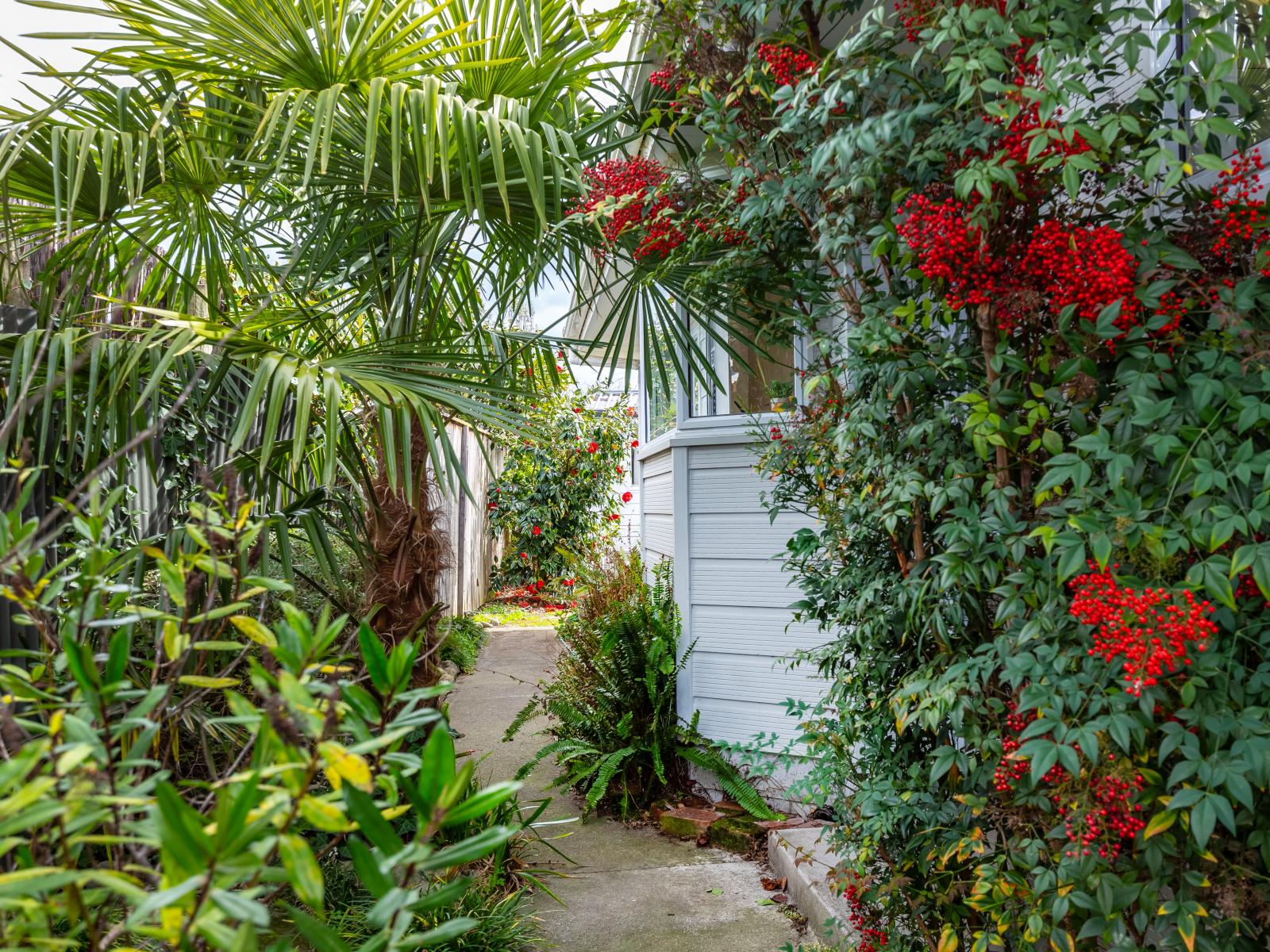 41B Cole Street, Masterton