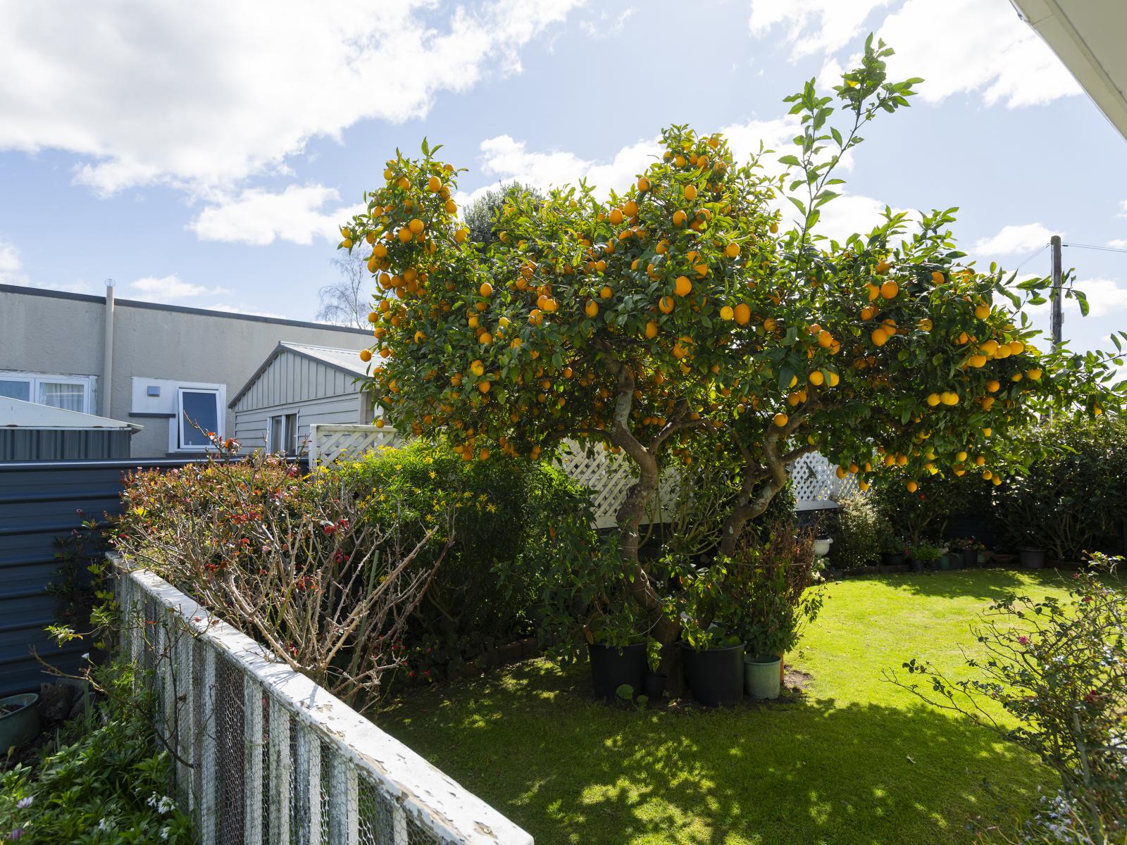48 Andrew street, Elgin