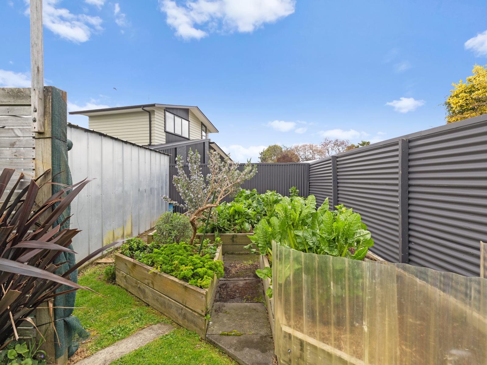 9 Hampden Street, Awapuni