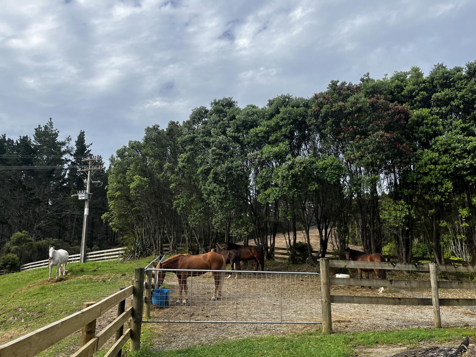 1213A State Highway 10, Kerikeri
