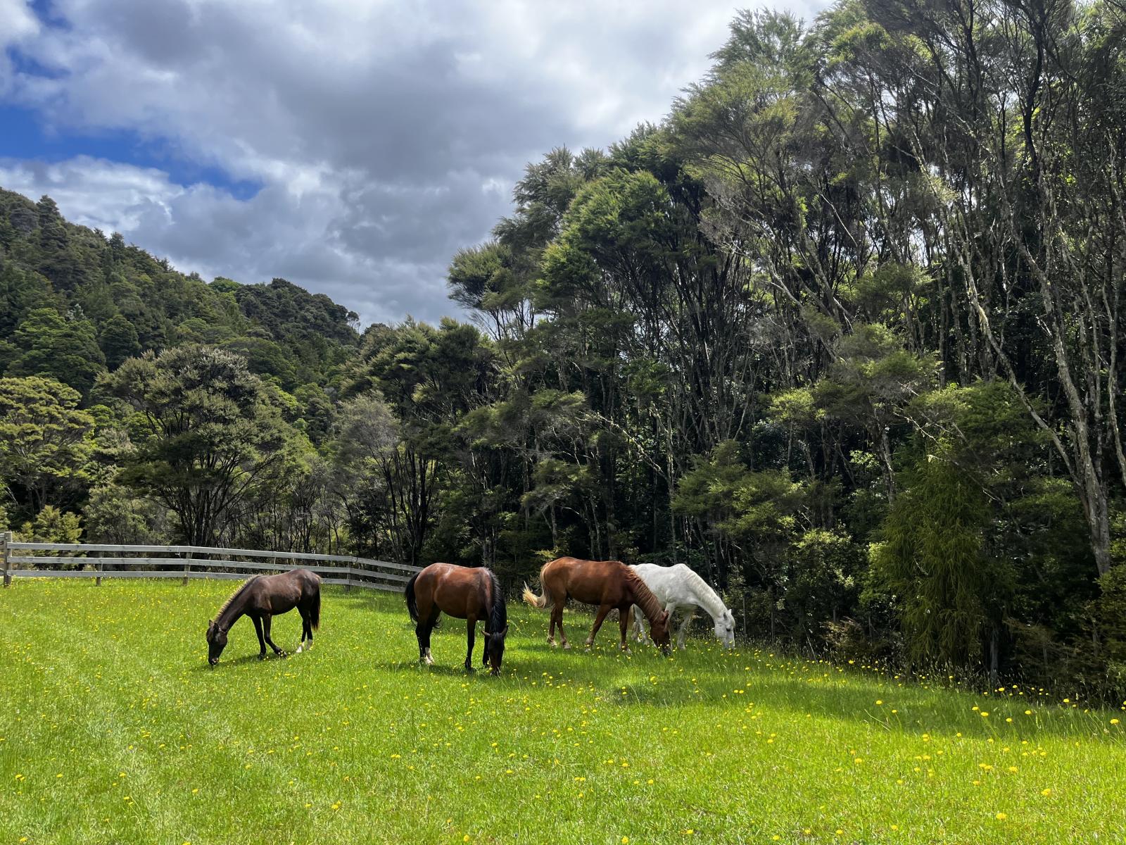 1213A State Highway 10, Kerikeri