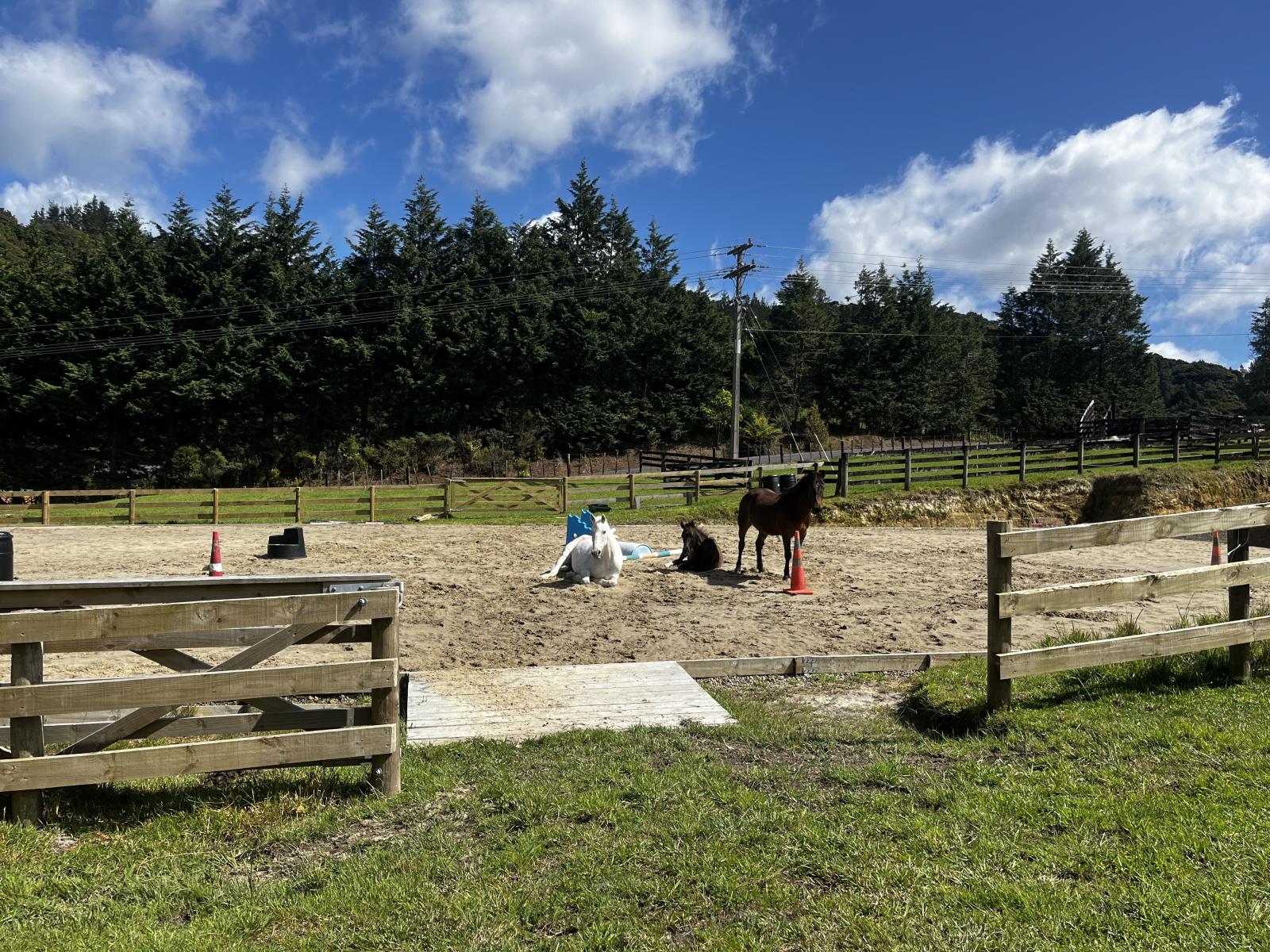 1213A State Highway 10, Kerikeri