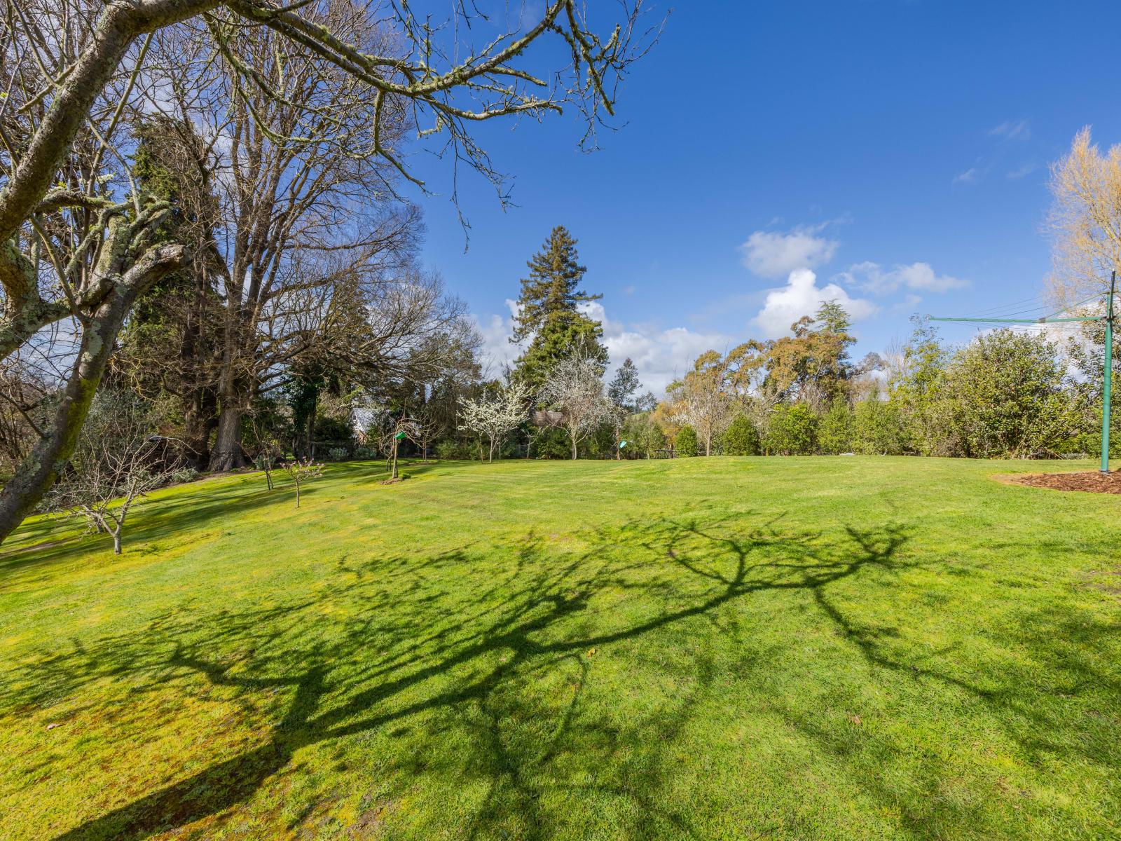 21 Abbotsford Road, Waipawa