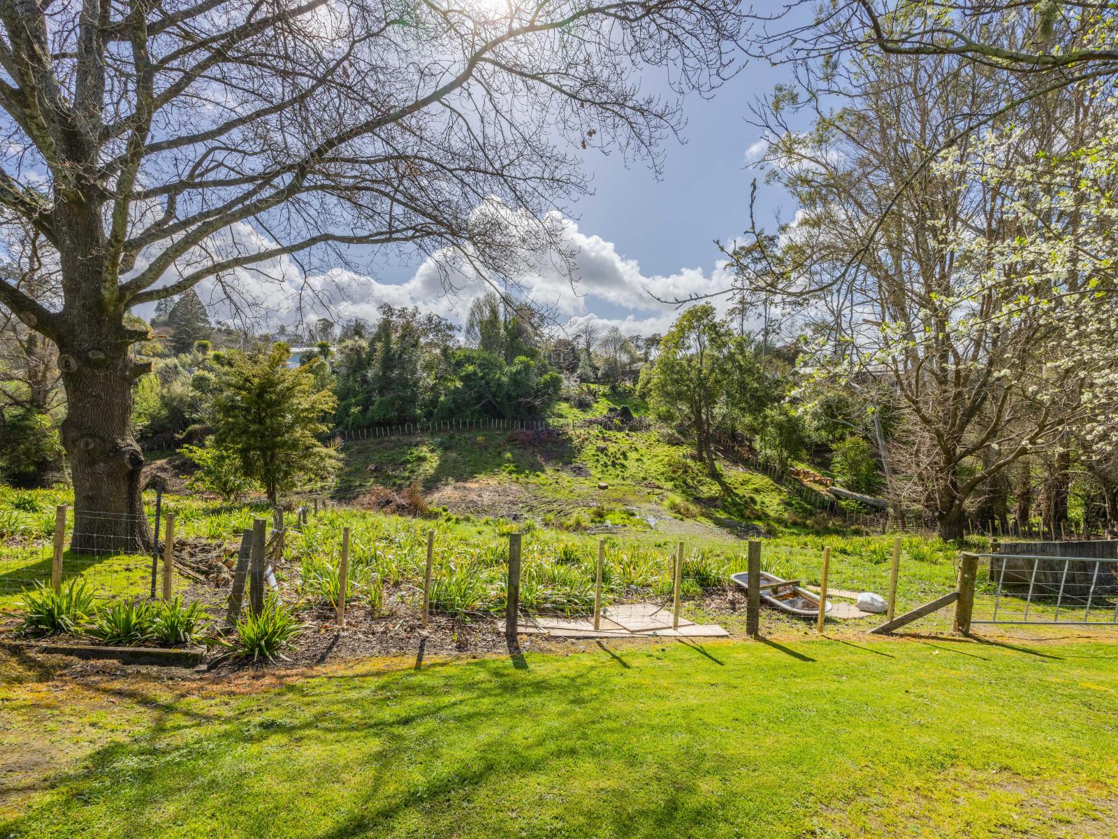 21 Abbotsford Road, Waipawa