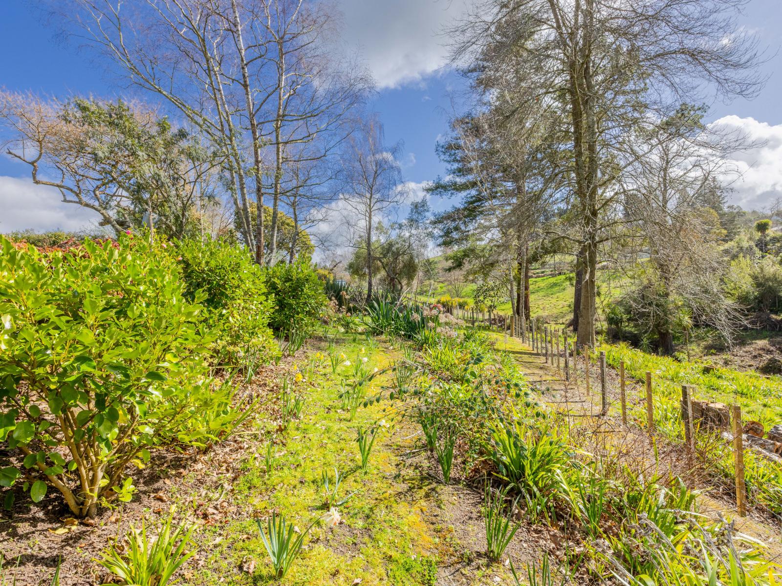 21 Abbotsford Road, Waipawa