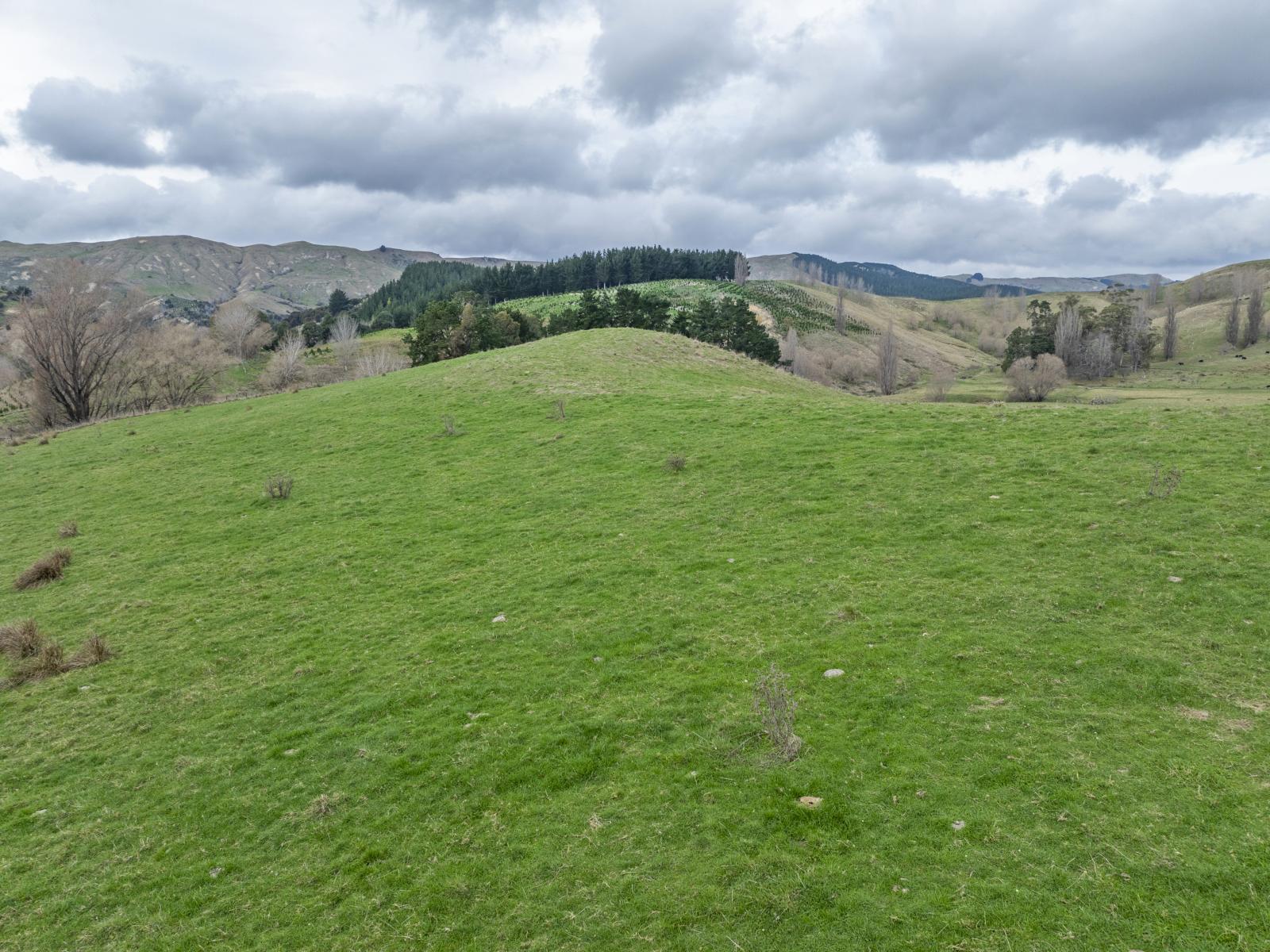 1667 / 1 Kahuranaki Road, Kahuranaki