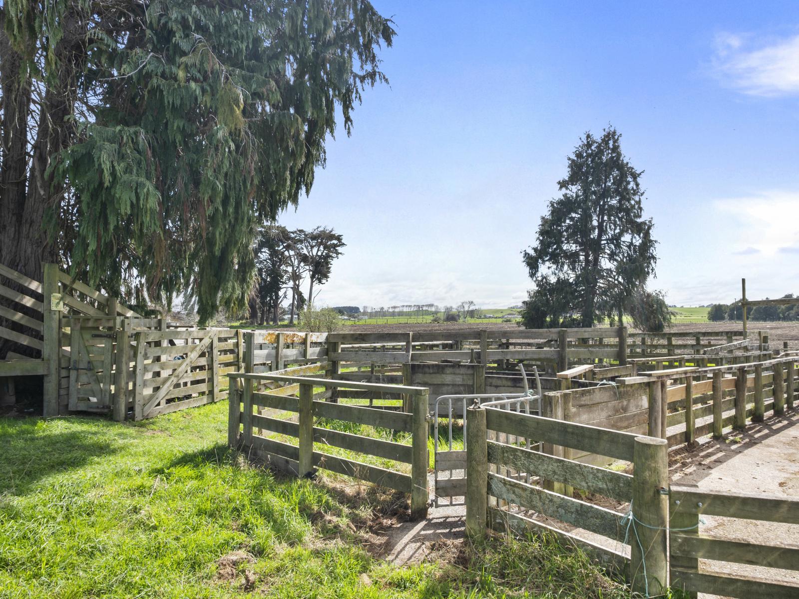 352 Jeffersons Line, Marton