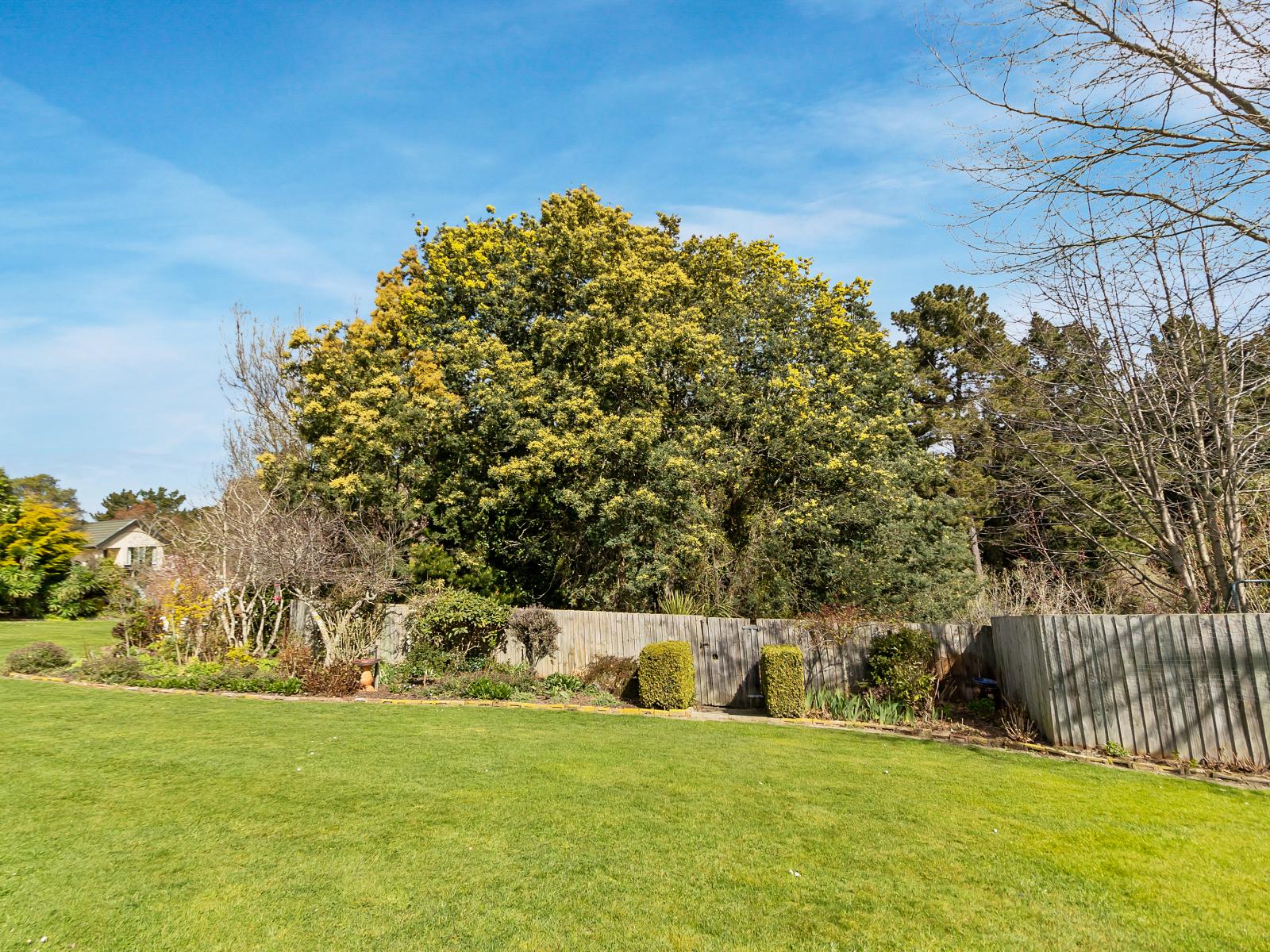 14 Rowan Place, Gleniti
