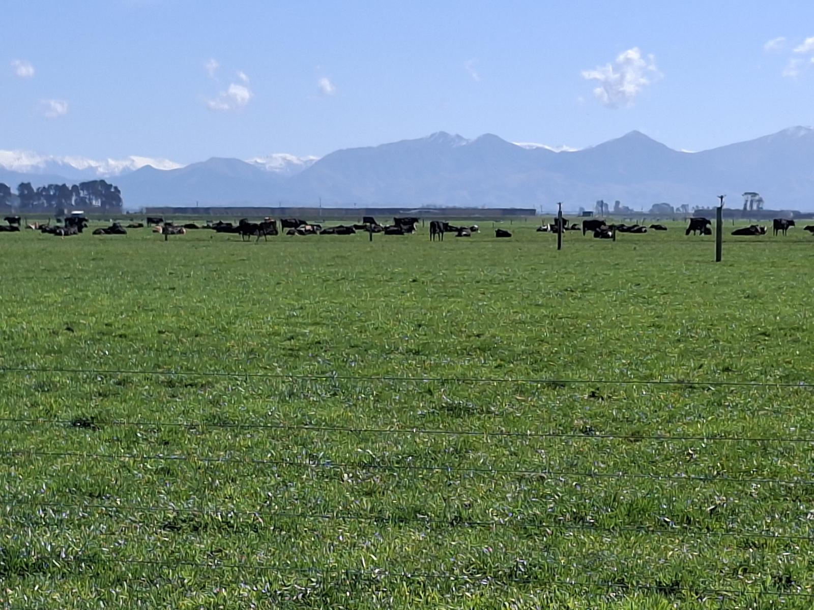 76 Rangitata Huts Road, Clandeboye