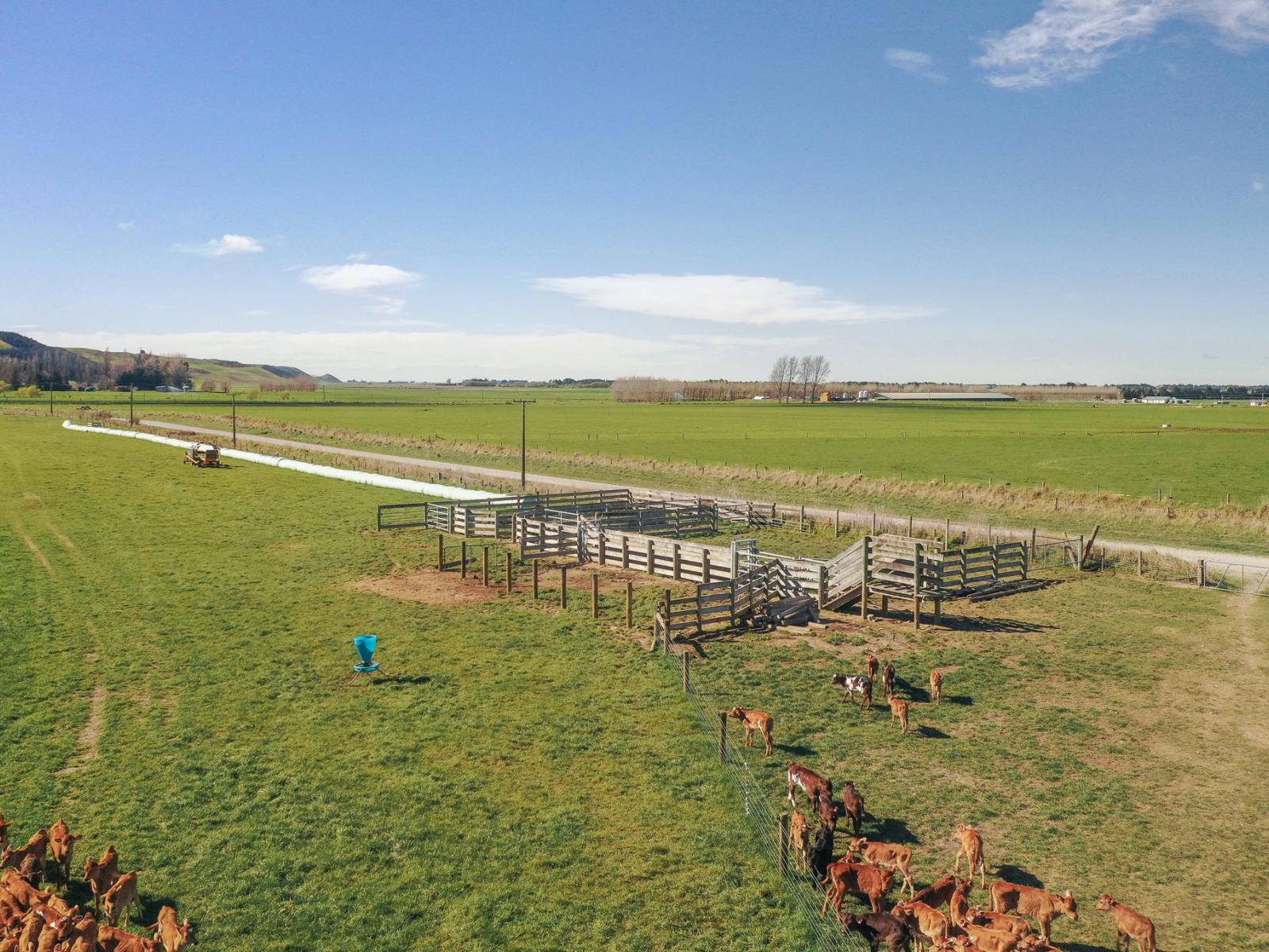 770 Mount Harris Road, Waimate